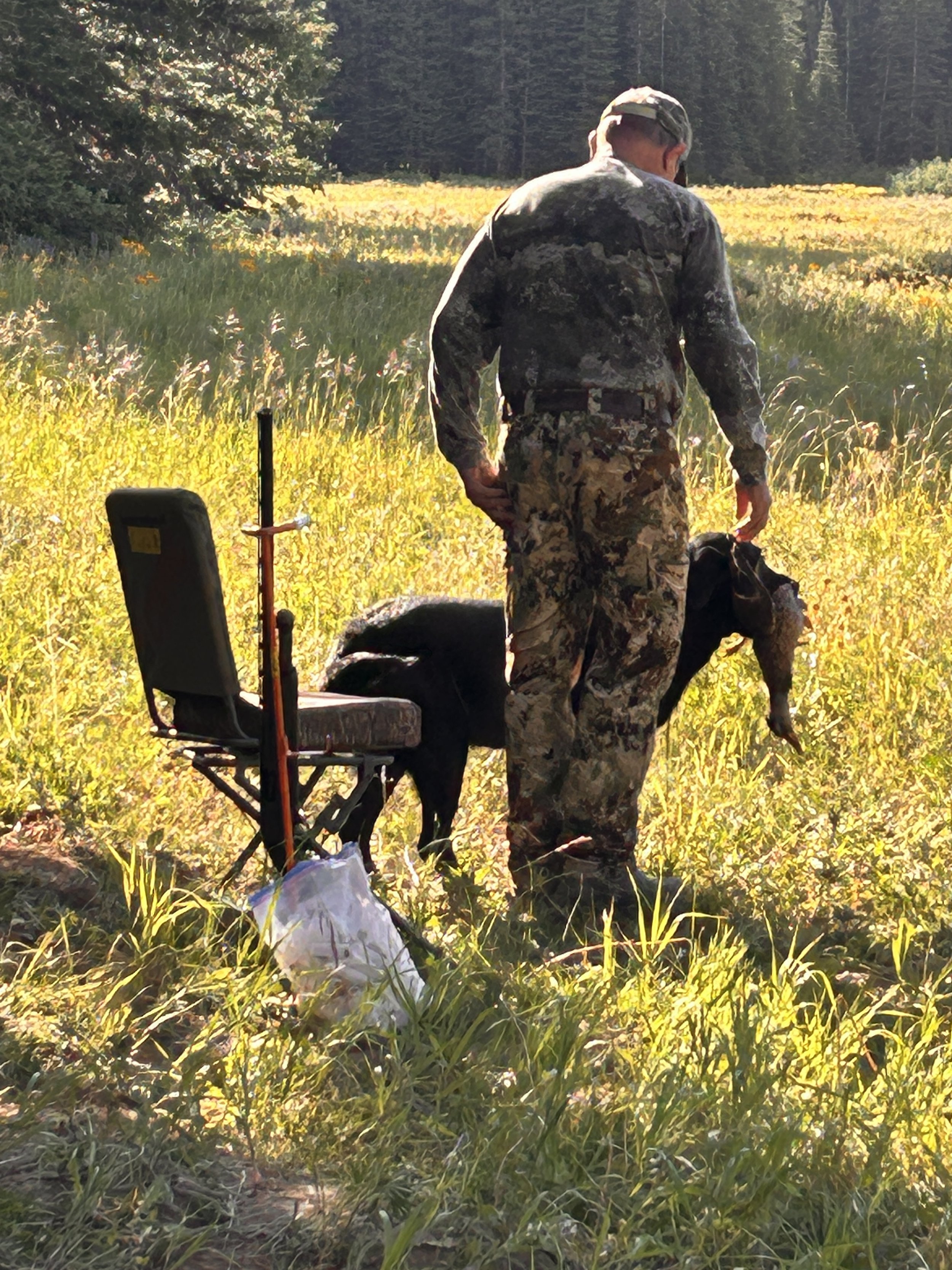 Western Colorado HRC Hunt Test July 20, 2025 - Congratulations to Brian Schumann & Maverick for achieving 500 points!!