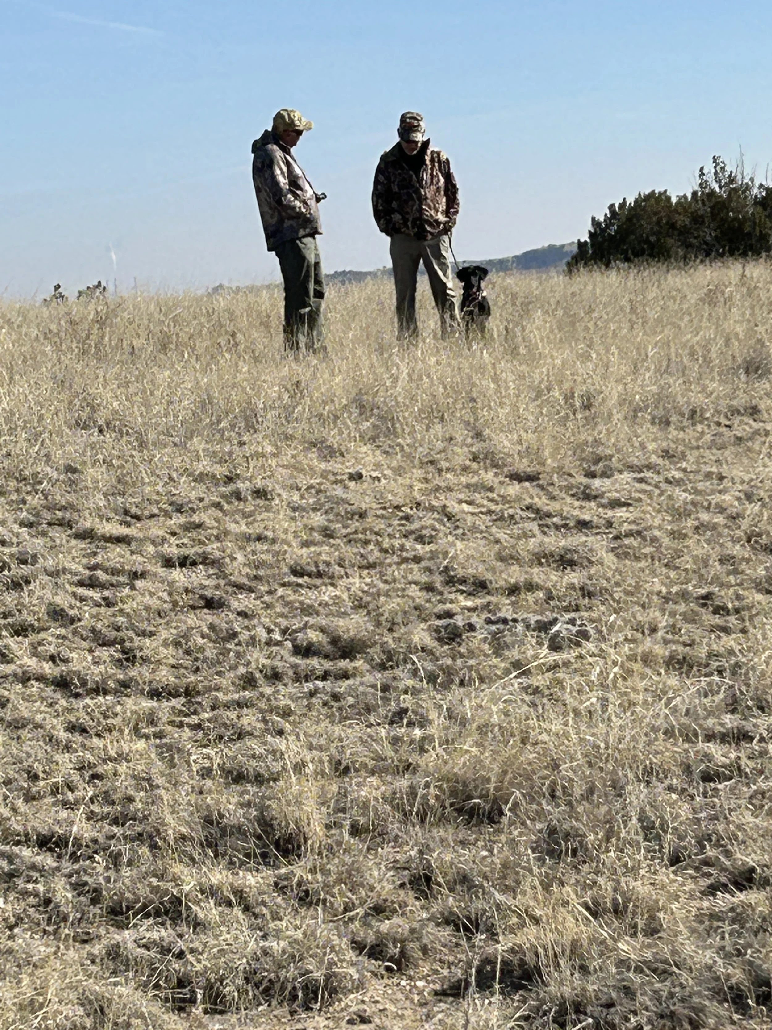 January 31, 2026 Training Day - Mark Kawalek - Erik Brekke & Rainy