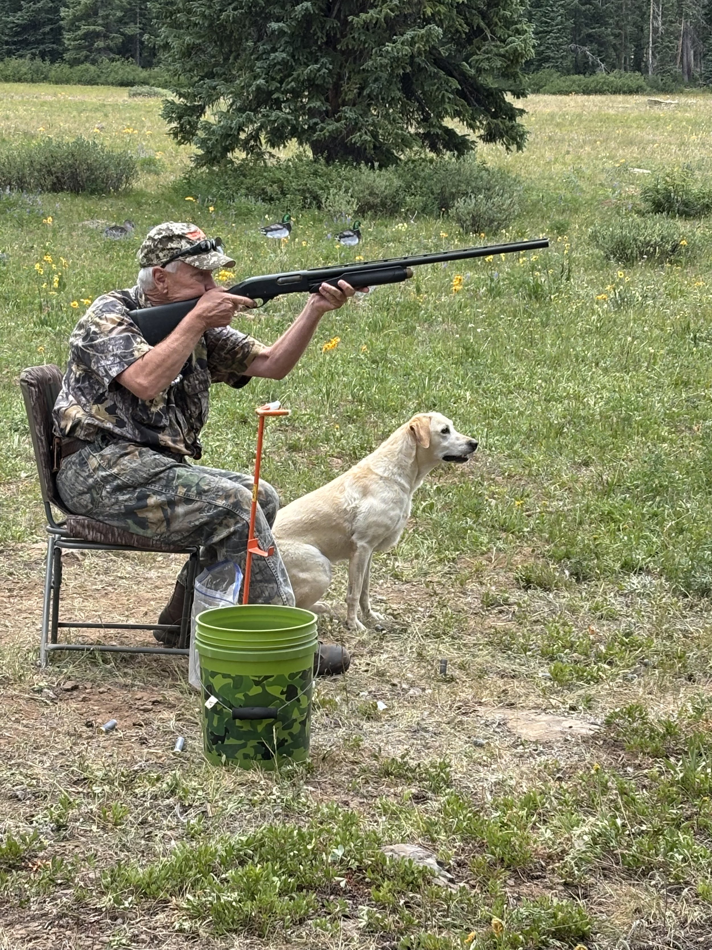 Western Colorado HRC Hunt Test July 19, 2025 - Erik Brekke & Breeze