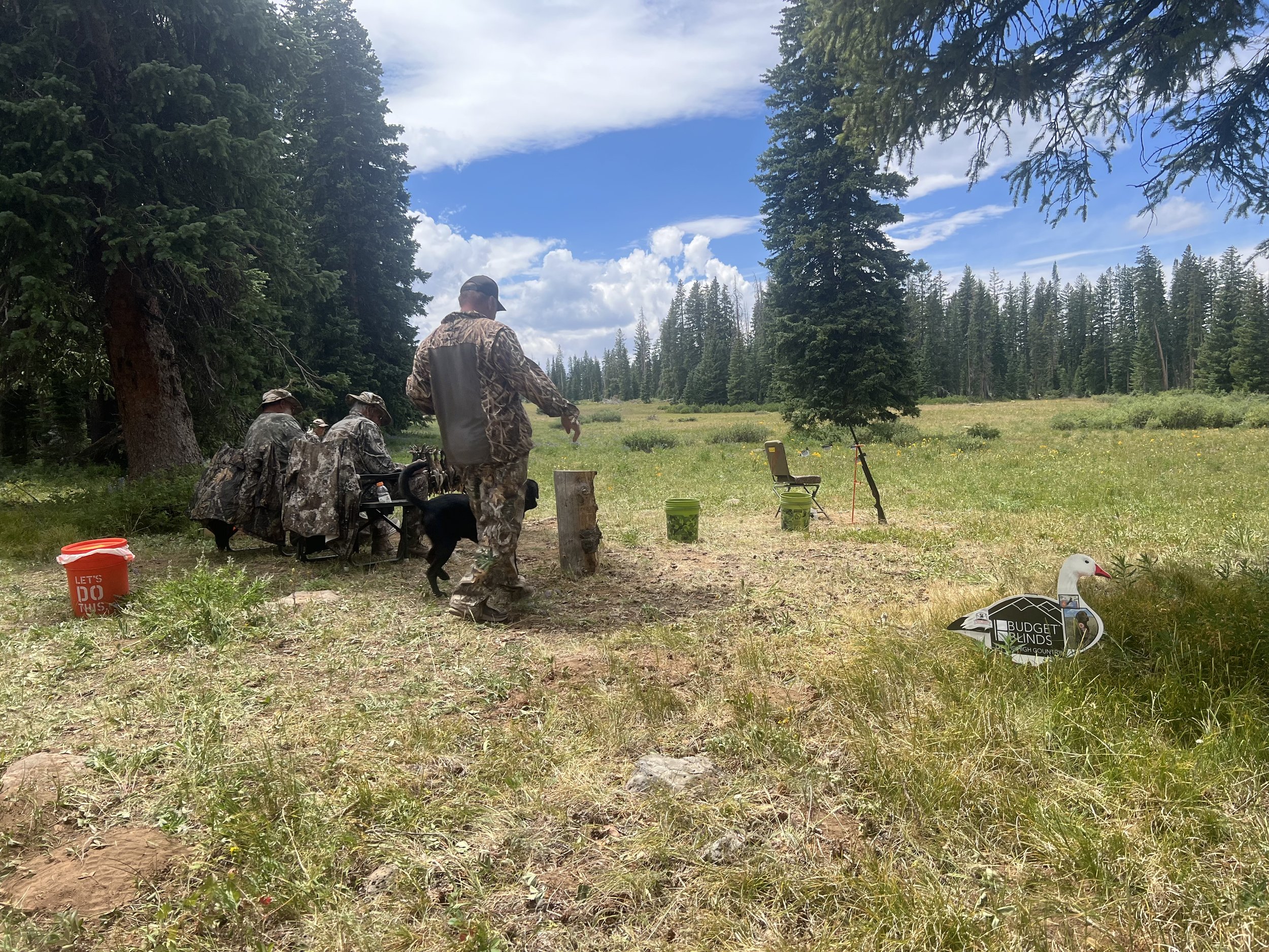 Western Colorado HRC Hunt Test July 19, 2025 - Brent Cozzolino and Cash