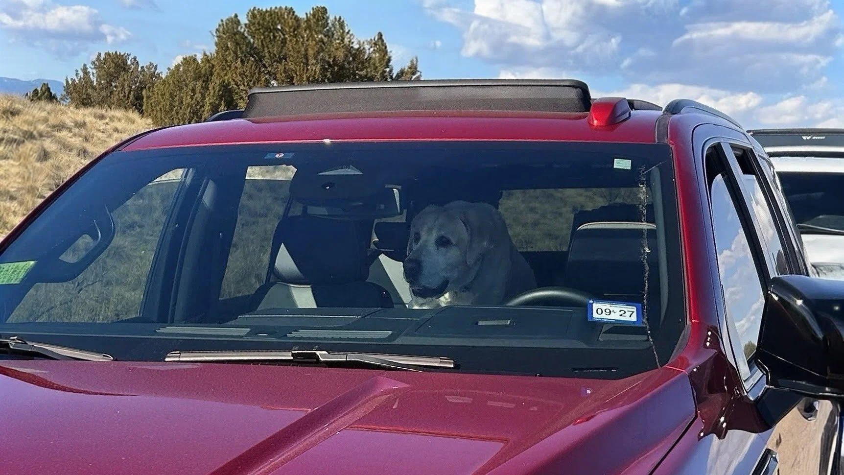 February 14, 2026 Training Day - Is It My Turn?