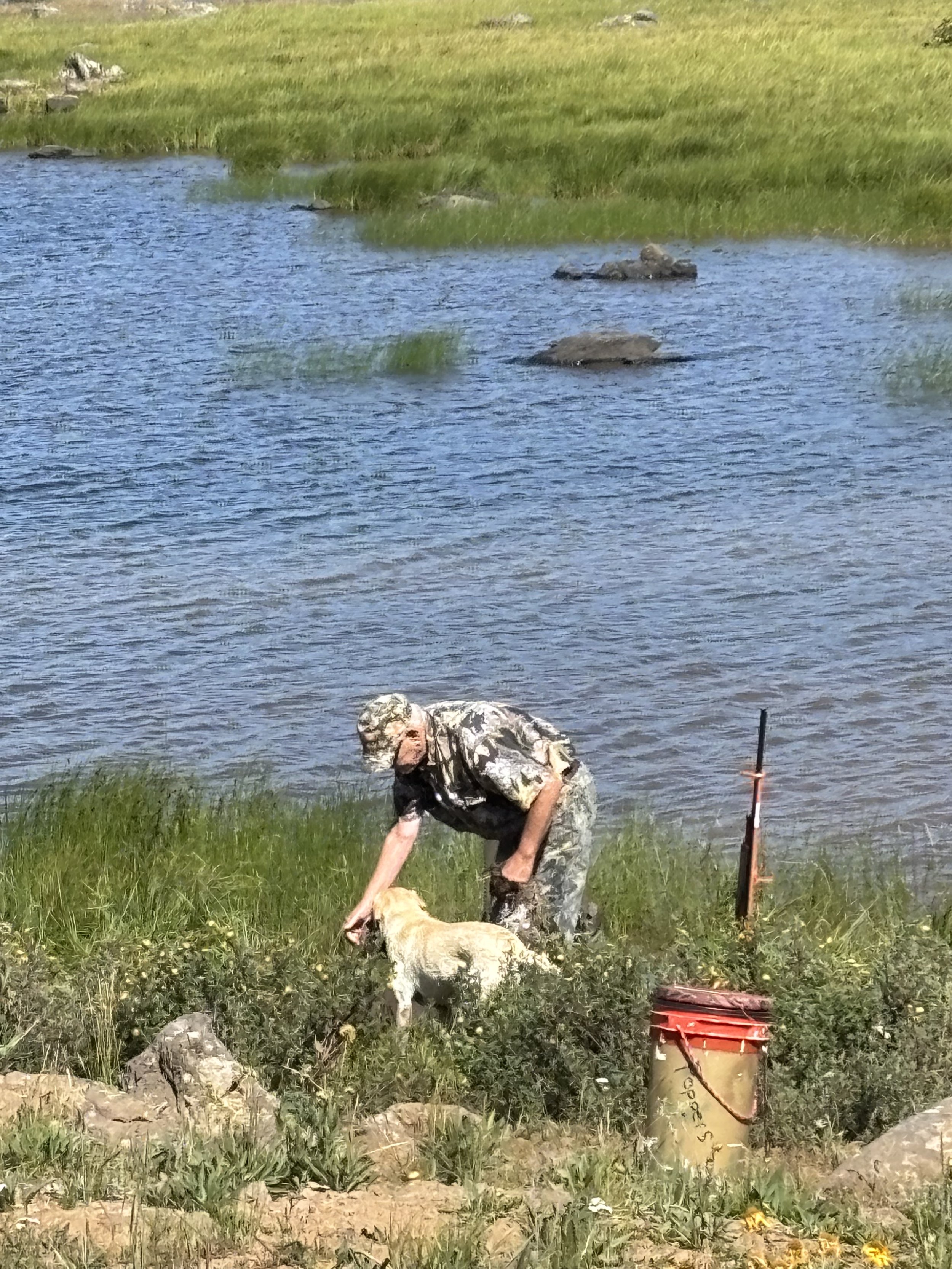 Western Colorado HRC Hunt Test July 19, 2025 - Erik Brekke & Breeze