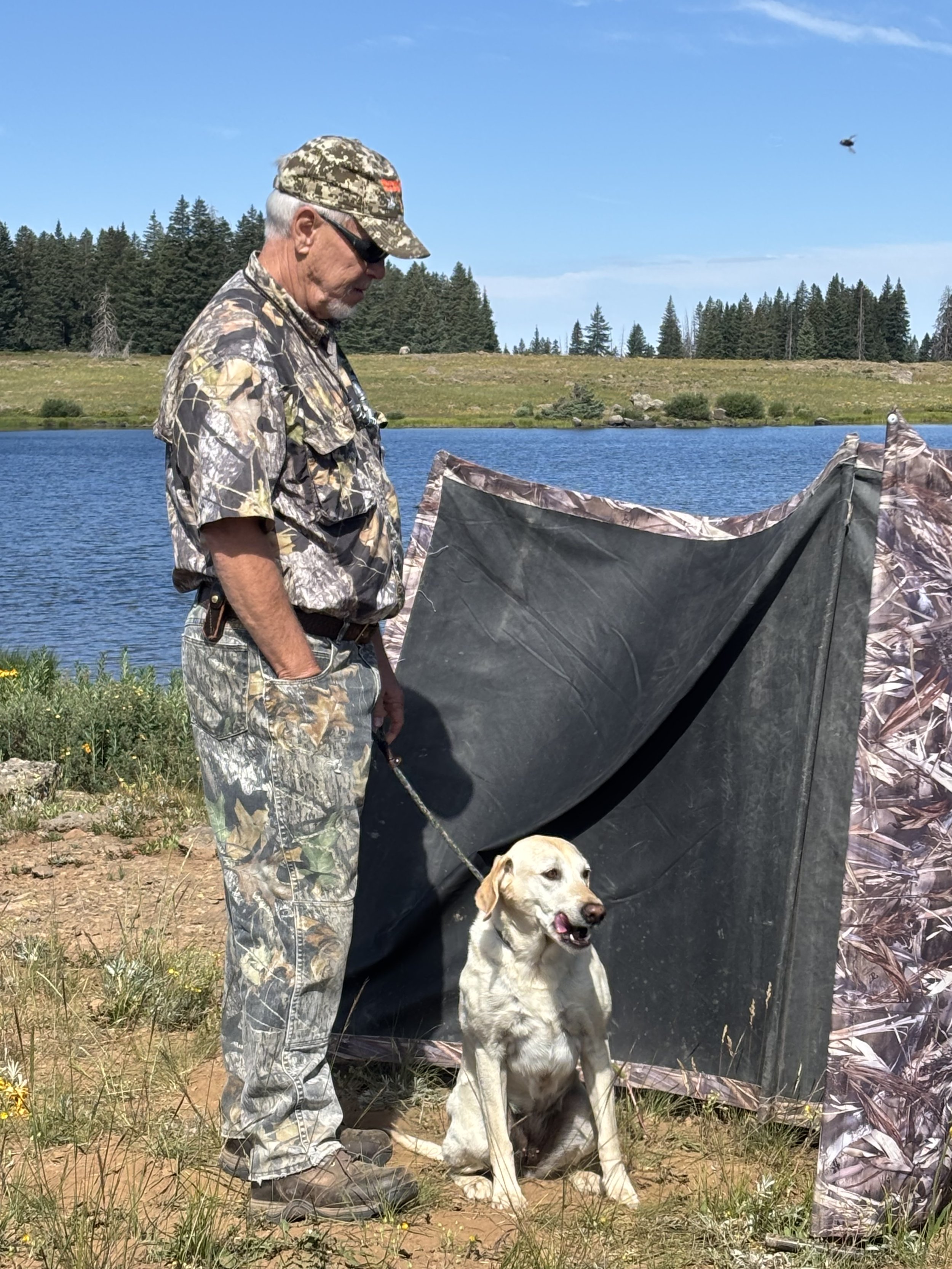 Western Colorado HRC Hunt Test July 19, 2025 - Erik Brekke & Breeze