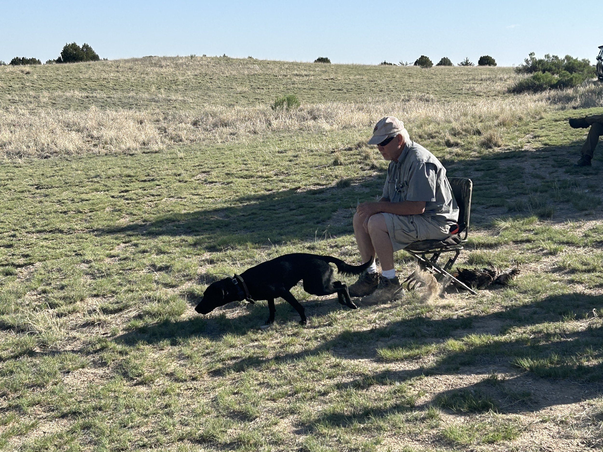 May 16, 2026 Training Day & Picnic