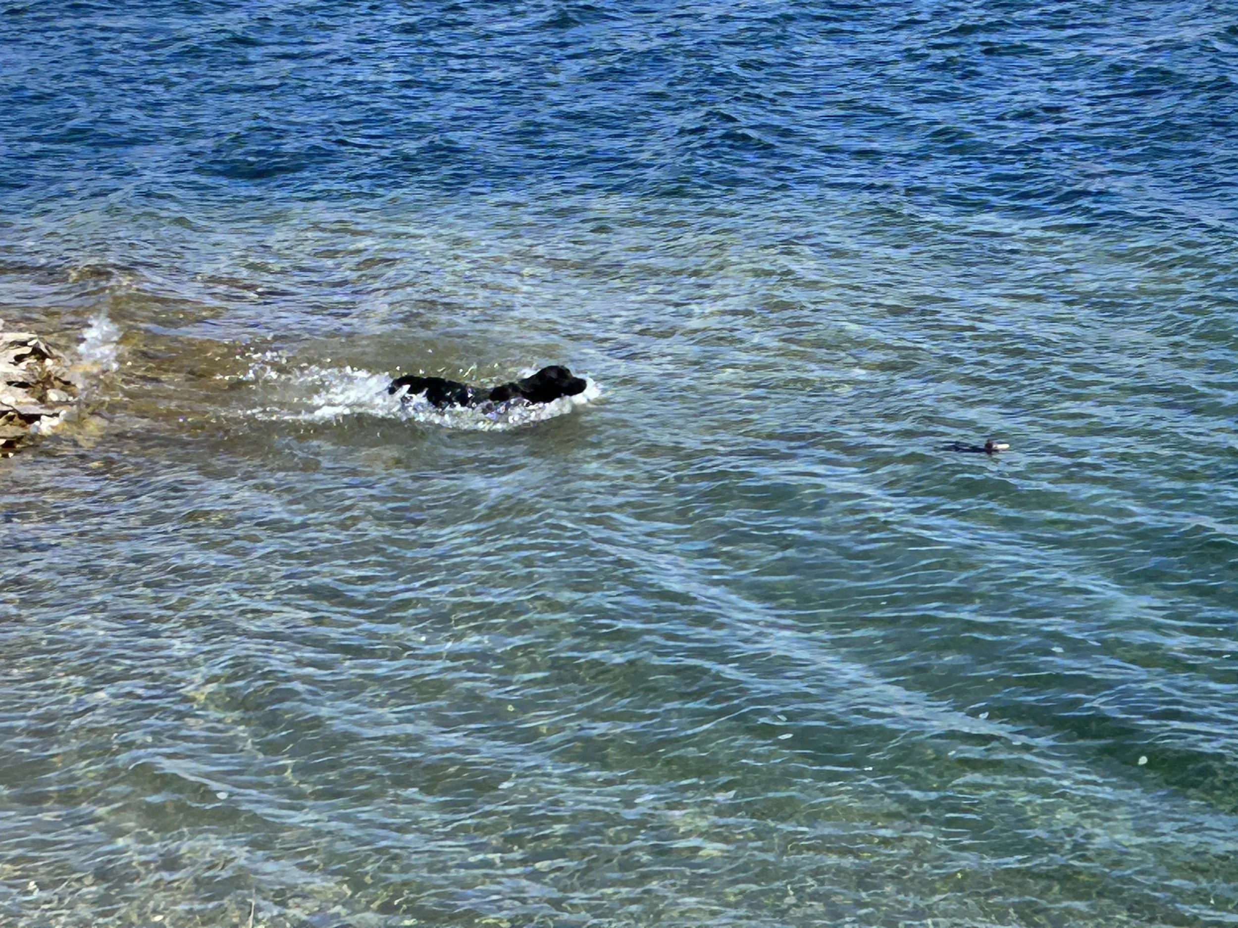 April 4, 2026 Training Day