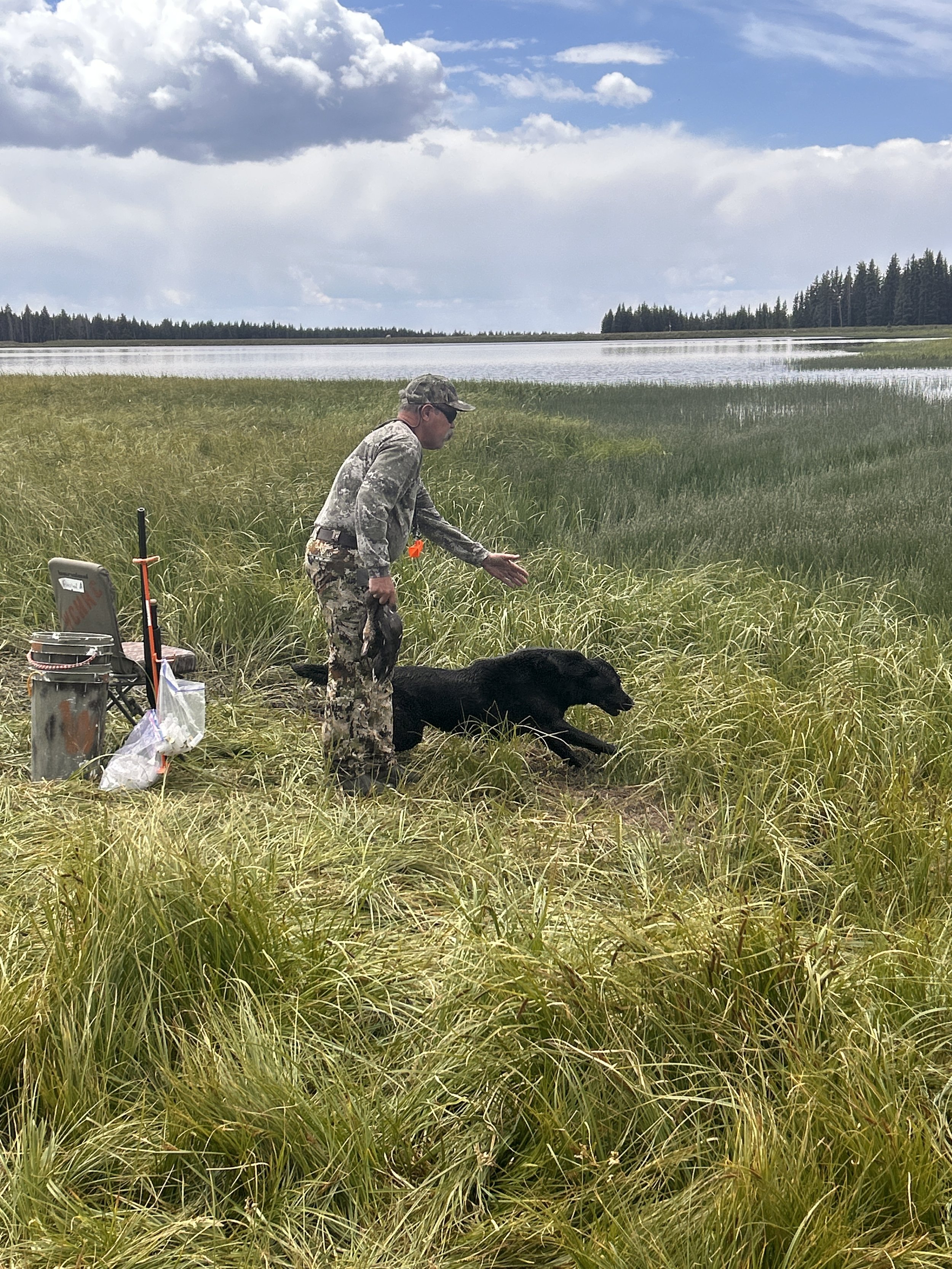 Western Colorado HRC Hunt Test July 20, 2025 - Congratulations to Brian Schumann & Maverick for achieving 500 points!!