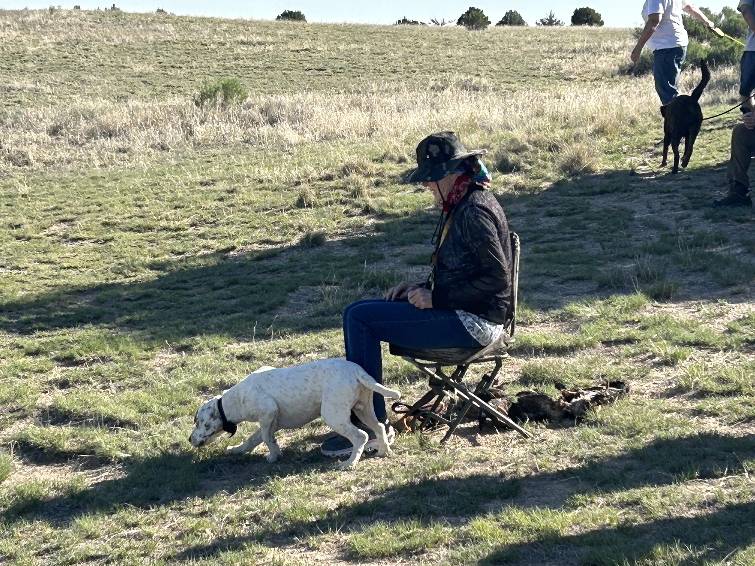 May 16, 2026 Training Day & Picnic