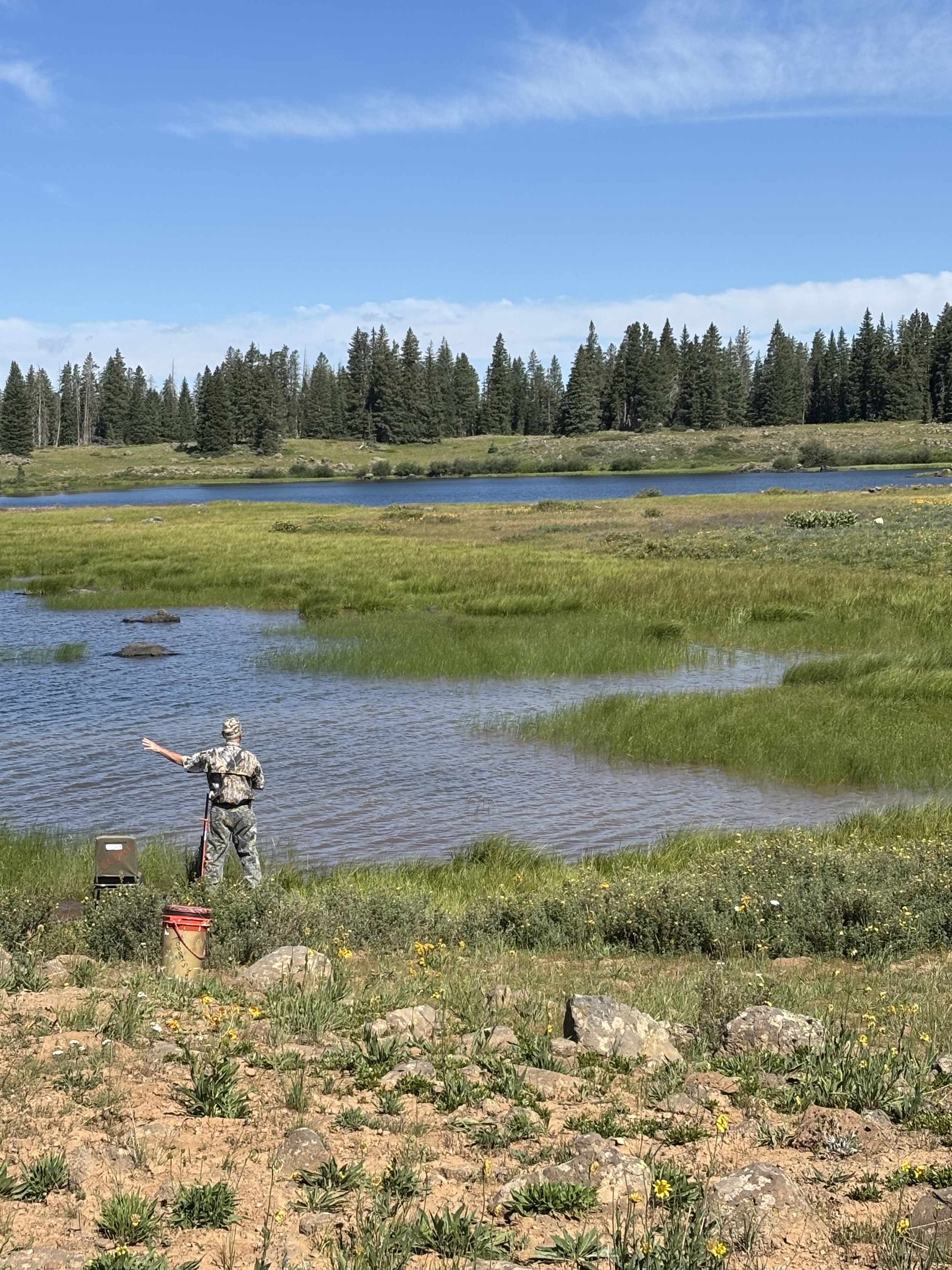 Western Colorado HRC Hunt Test July 19, 2025 - Erik Brekke & Breeze