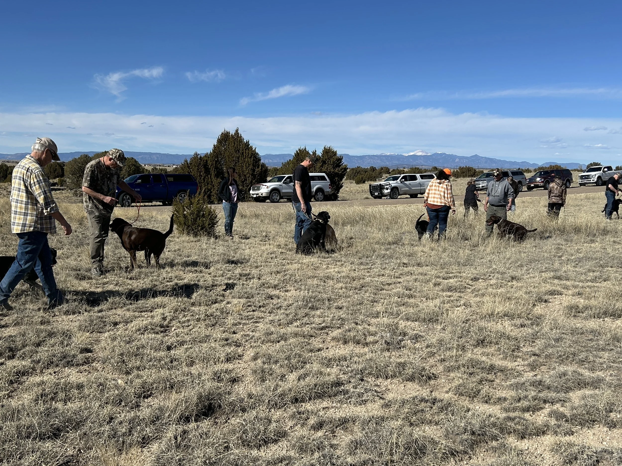 February 4, 2026 Training Day - Obedience at Started Training