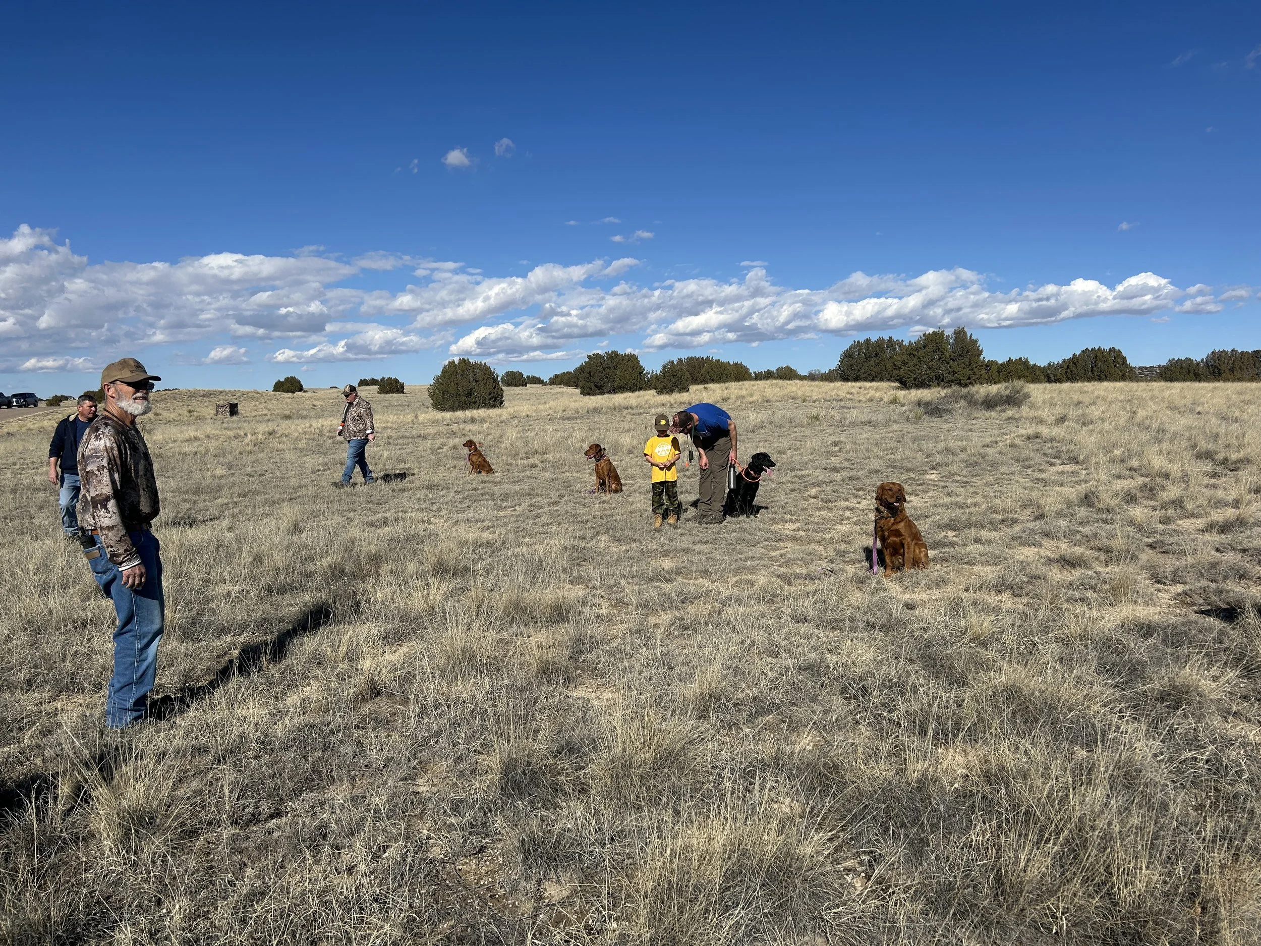 February 14, 2026 Training Day - Started Obedience 
