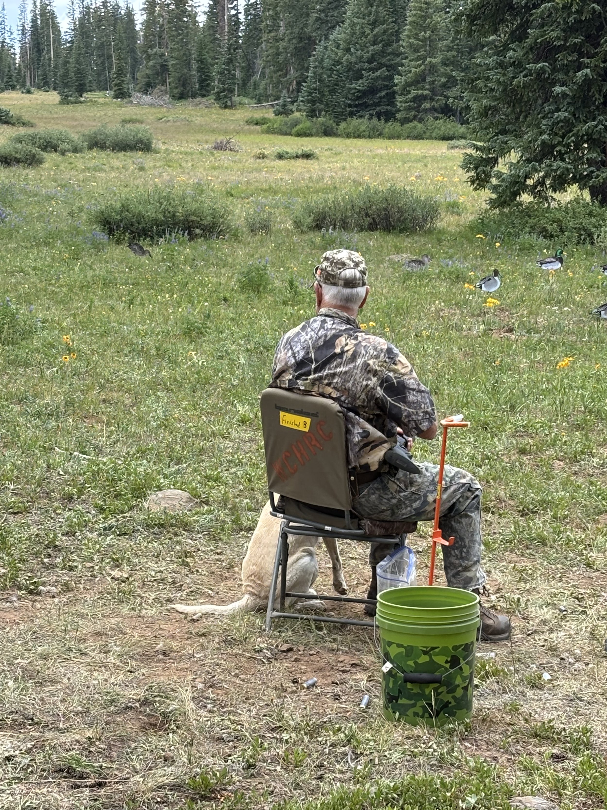 Western Colorado HRC Hunt Test July 19, 2025 - Erik Brekke & Breeze