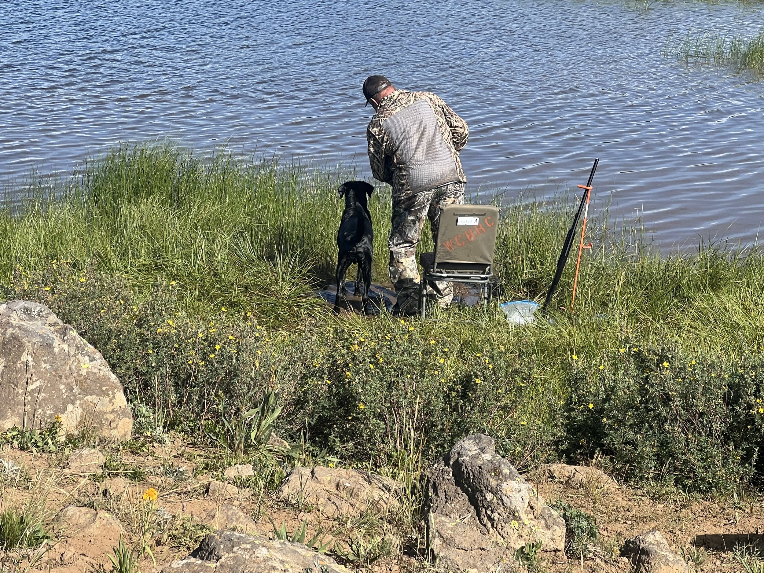 Western Colorado HRC Hunt Test July 19, 2025 - Brent Cozzolino and Cash