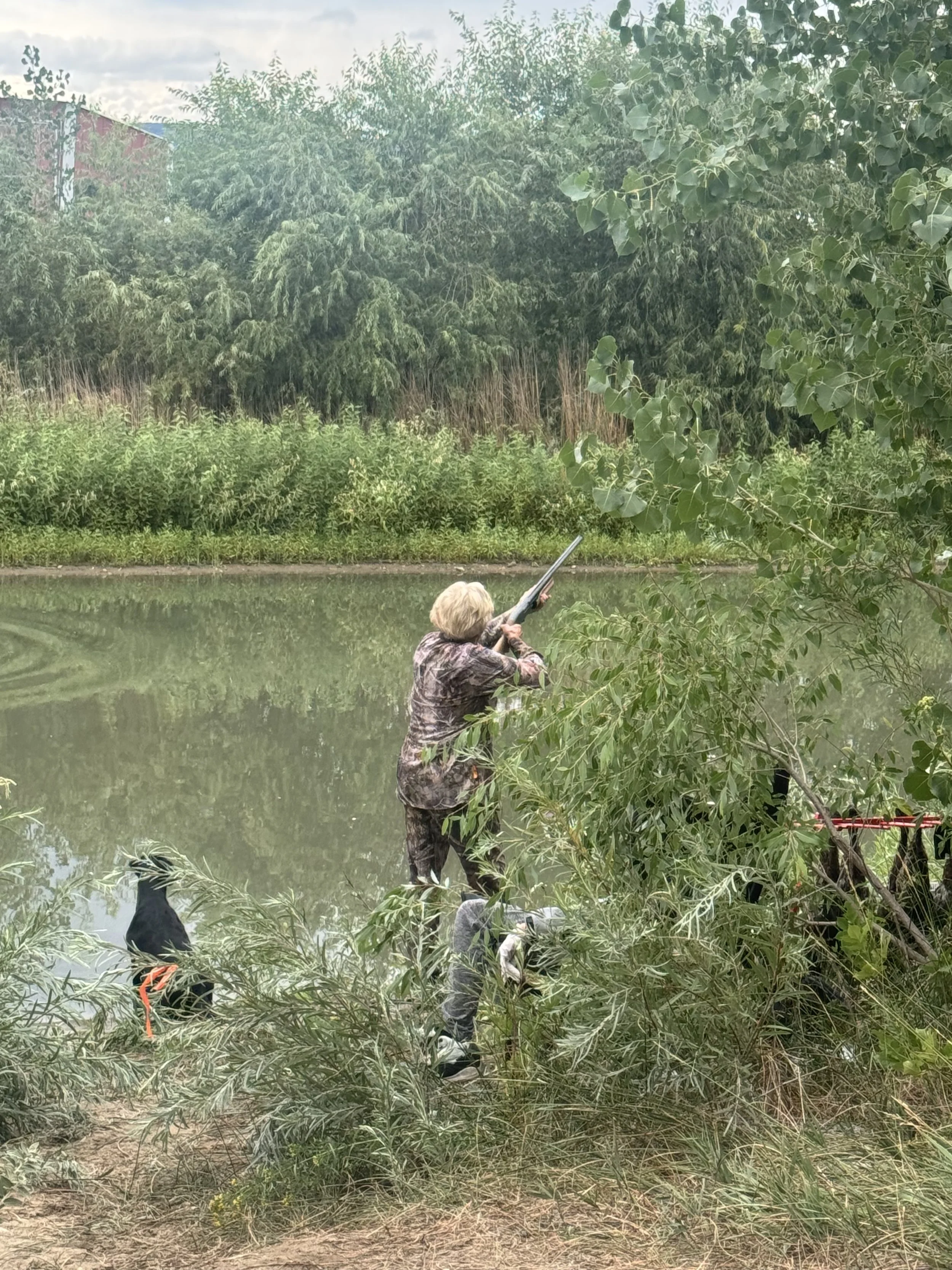 PVHRC 40th Anniversary Hunt Test August 29th - 30th