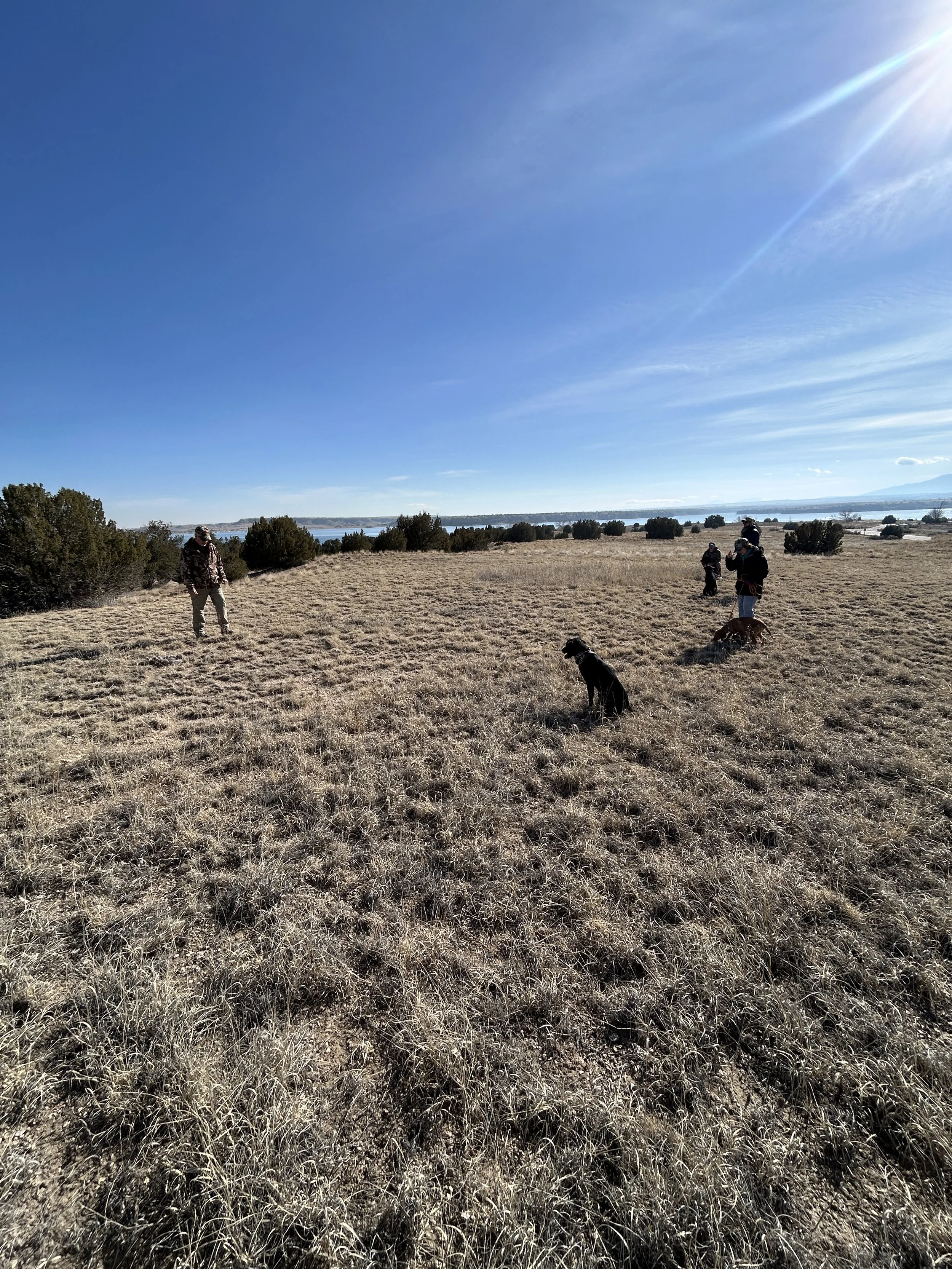 January 31, 2026 Training Day - A little Obedience 