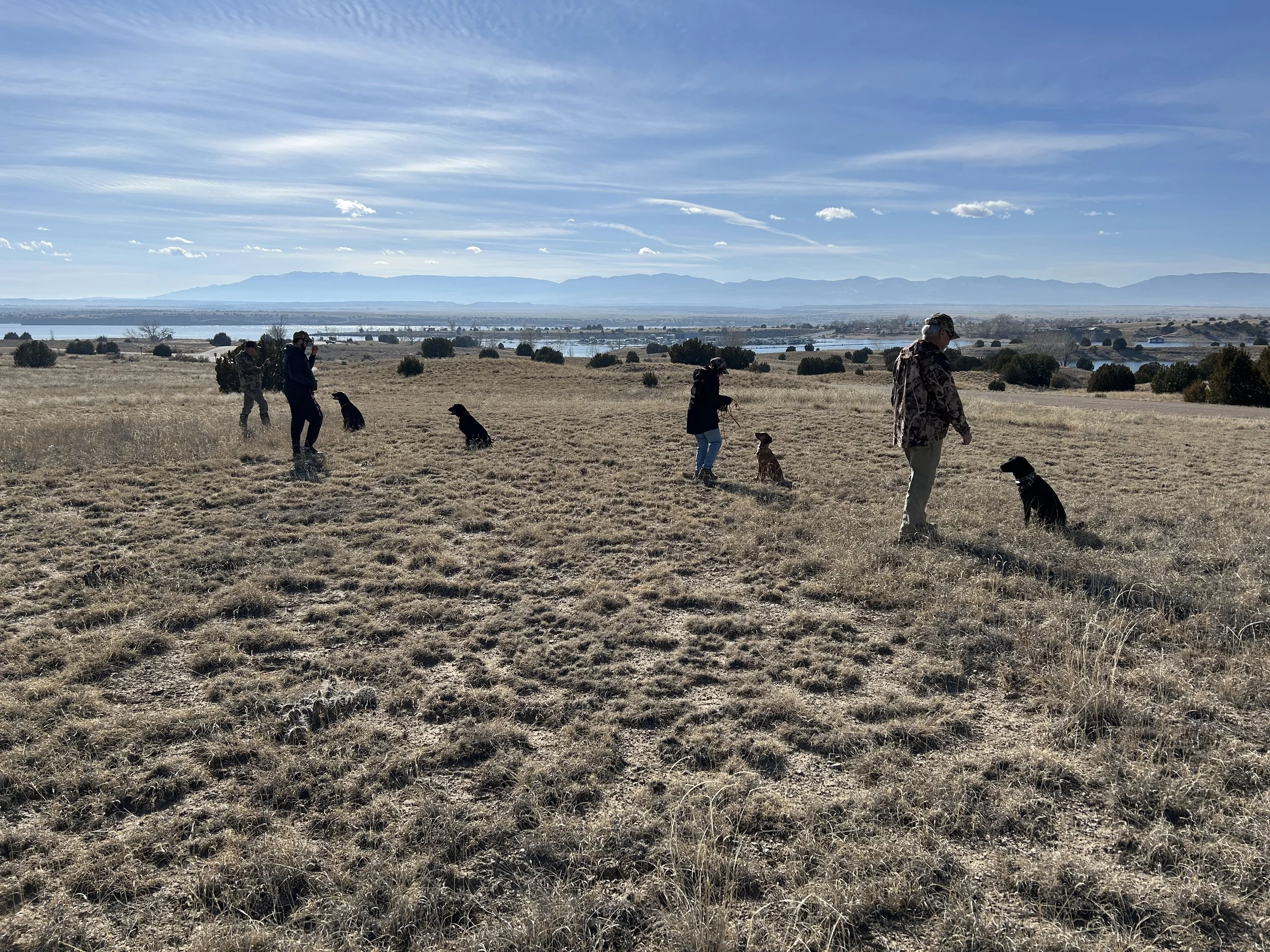 January 31, 2026 Training Day - A Beautiful Day at the Lake
