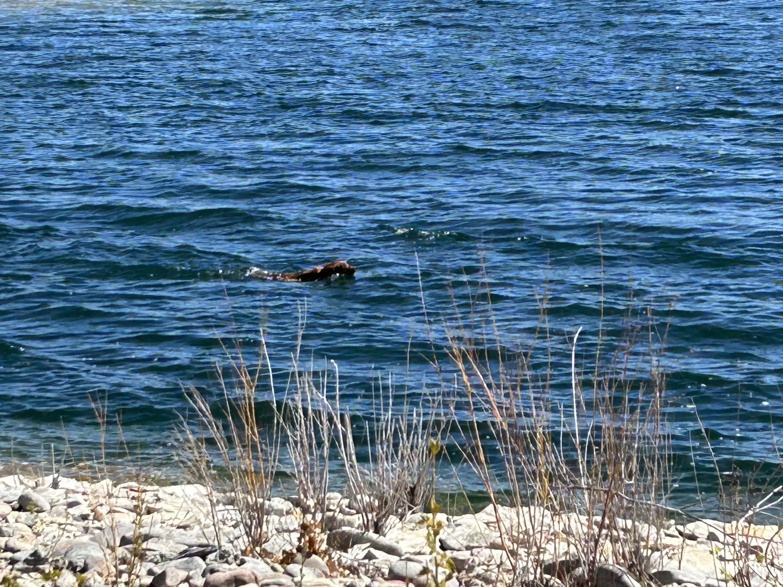 April 4, 2026 Training Day