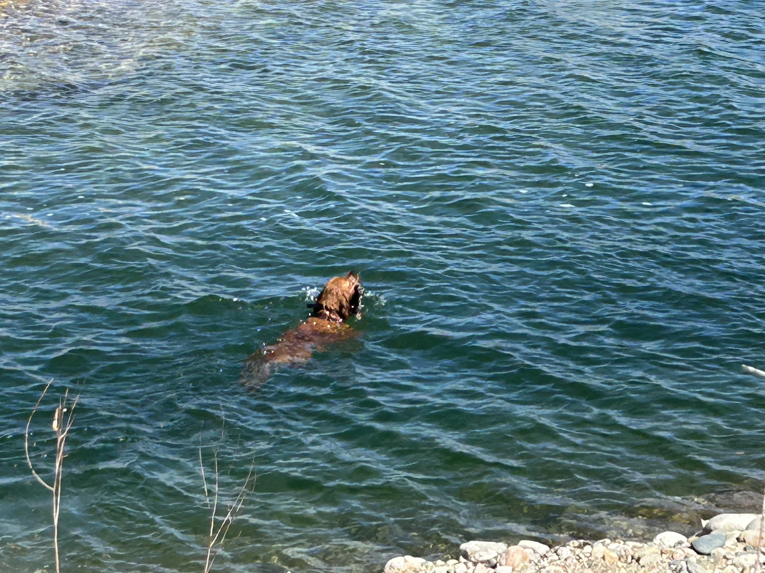 April 4, 2026 Training Day