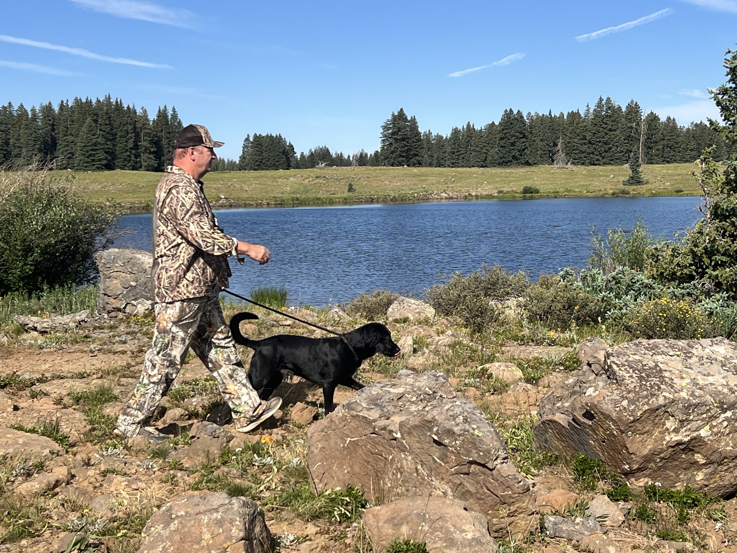 Western Colorado HRC Hunt Test July 19, 2025 - Brent Cozzolino and Cash