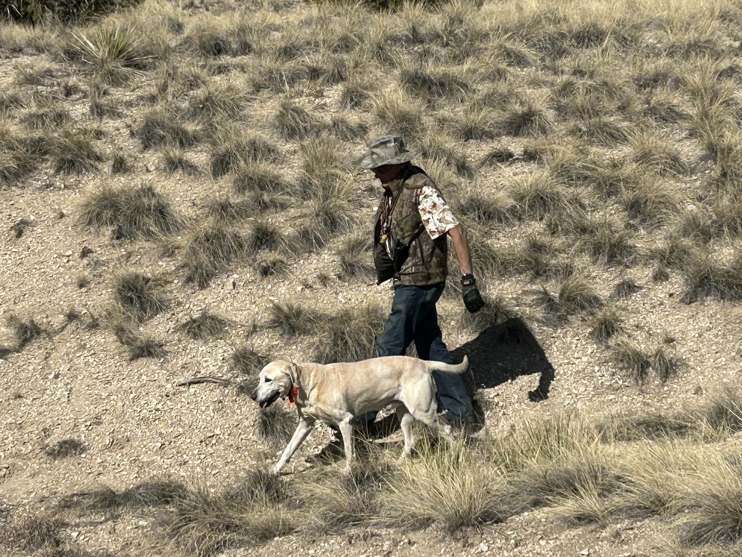 March 1, 2026 Training Day - Jim Blecha & Laser