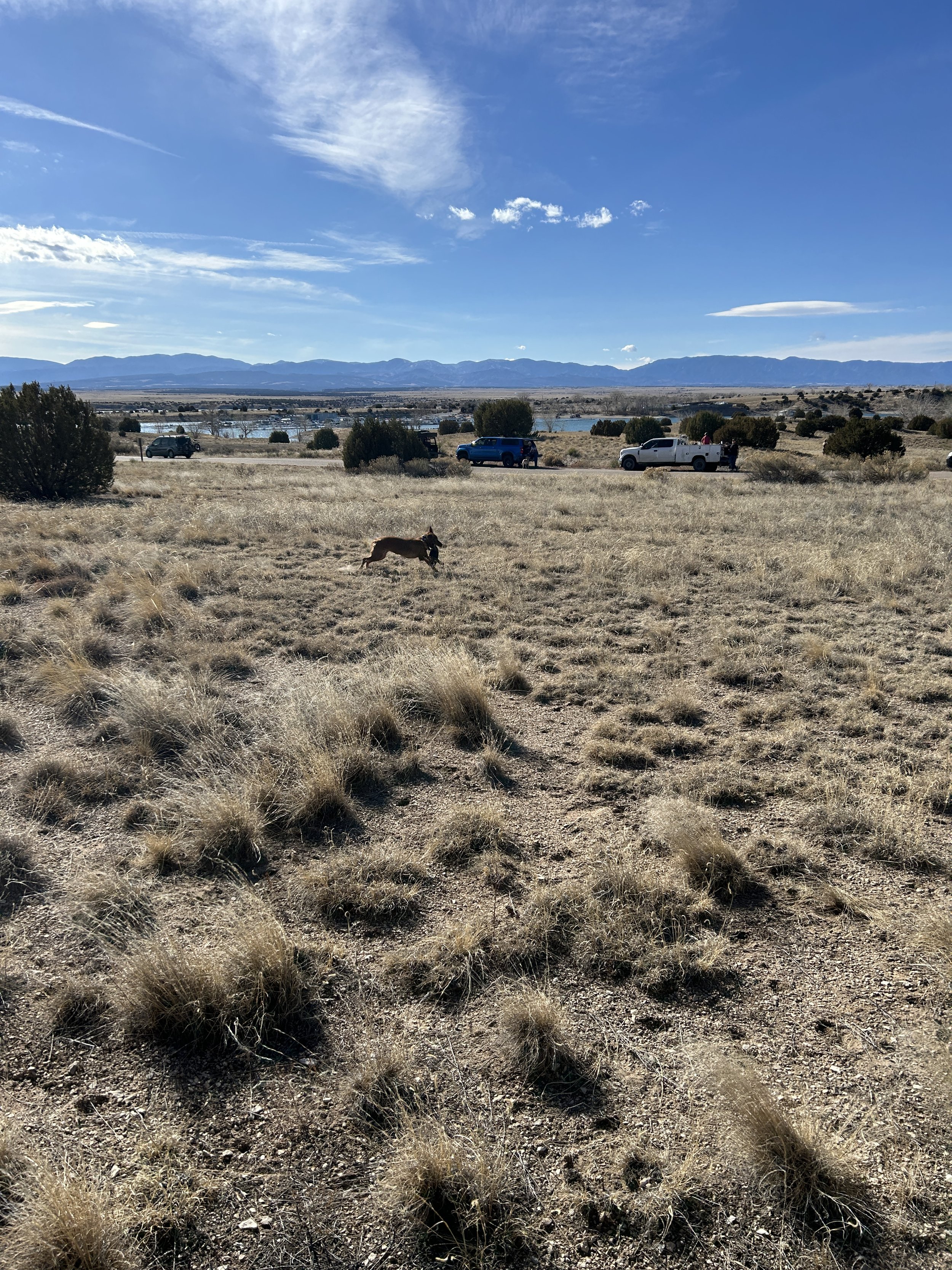 February 4, 2026 Training Day - Started Training