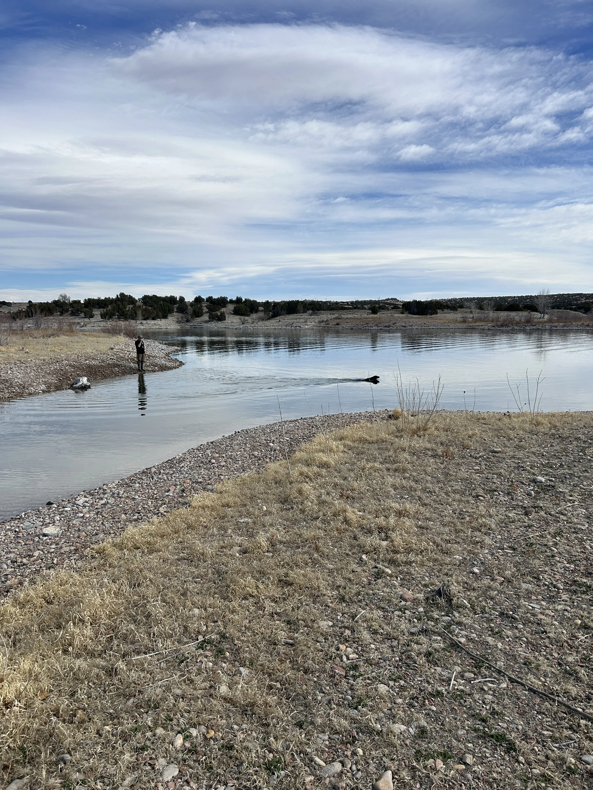 March 21, 2026 Training Day