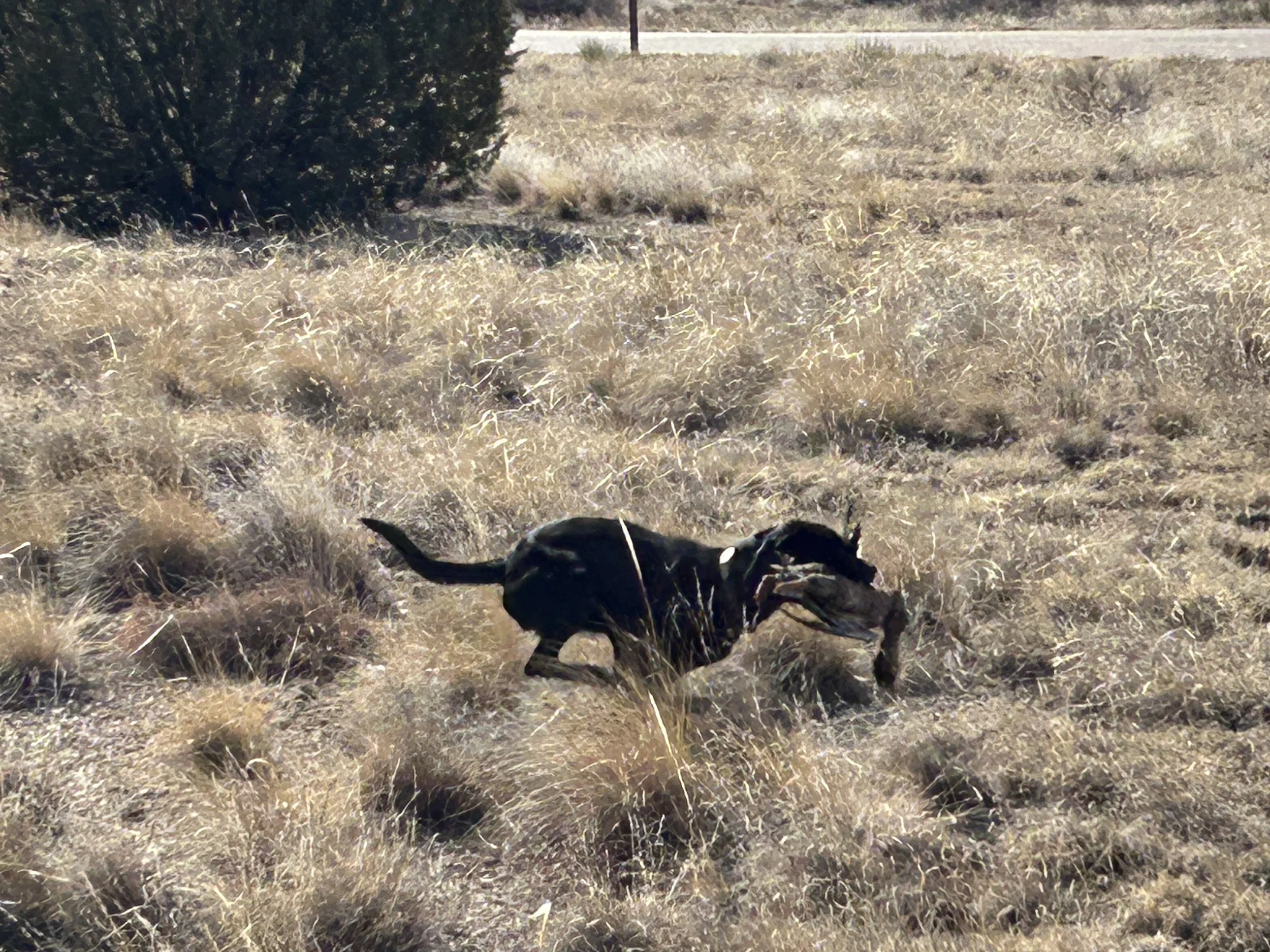 February 4, 2026 Training Day - Started Training