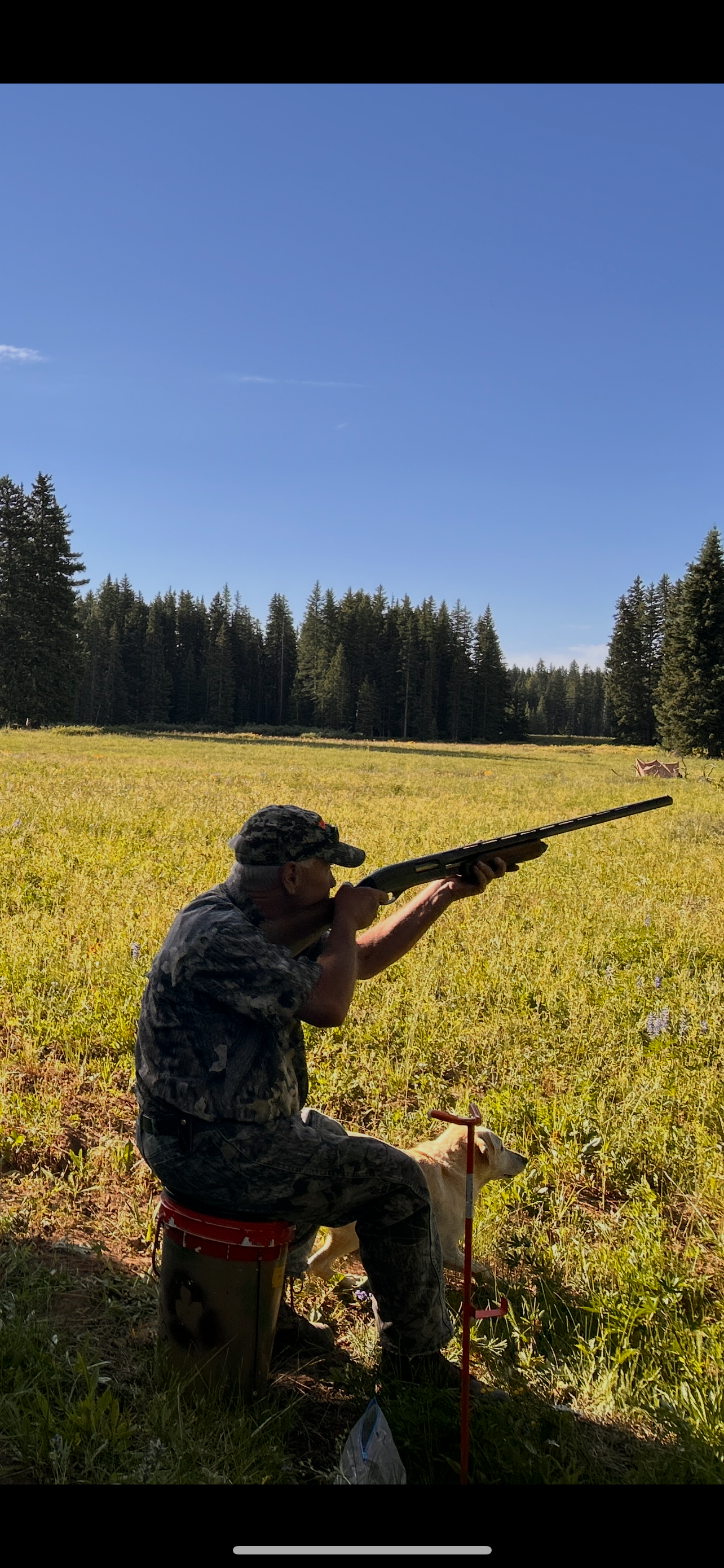 Western Colorado HRC Hunt Test July 2025 - Lauri Hansen - Erik Brekke & Breeze