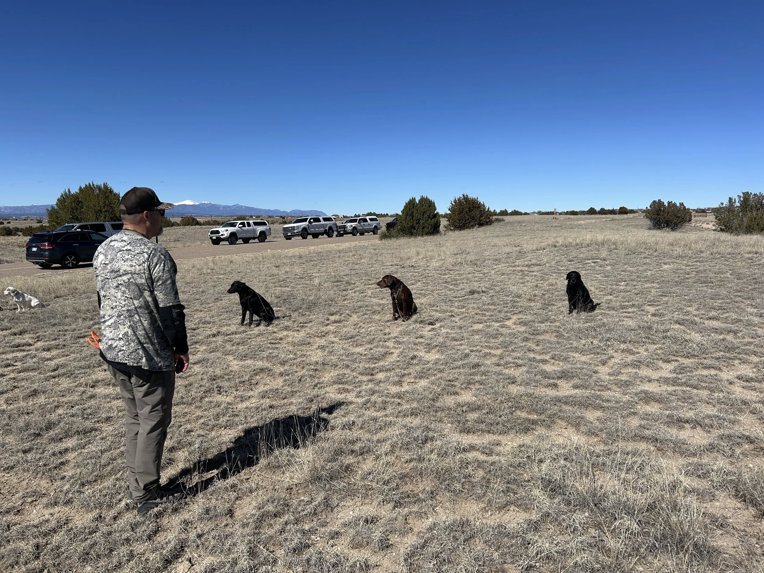 March 7, 2026 Training Day - Eric Kahle & Rip and a good looking group of dogs working Obedience 