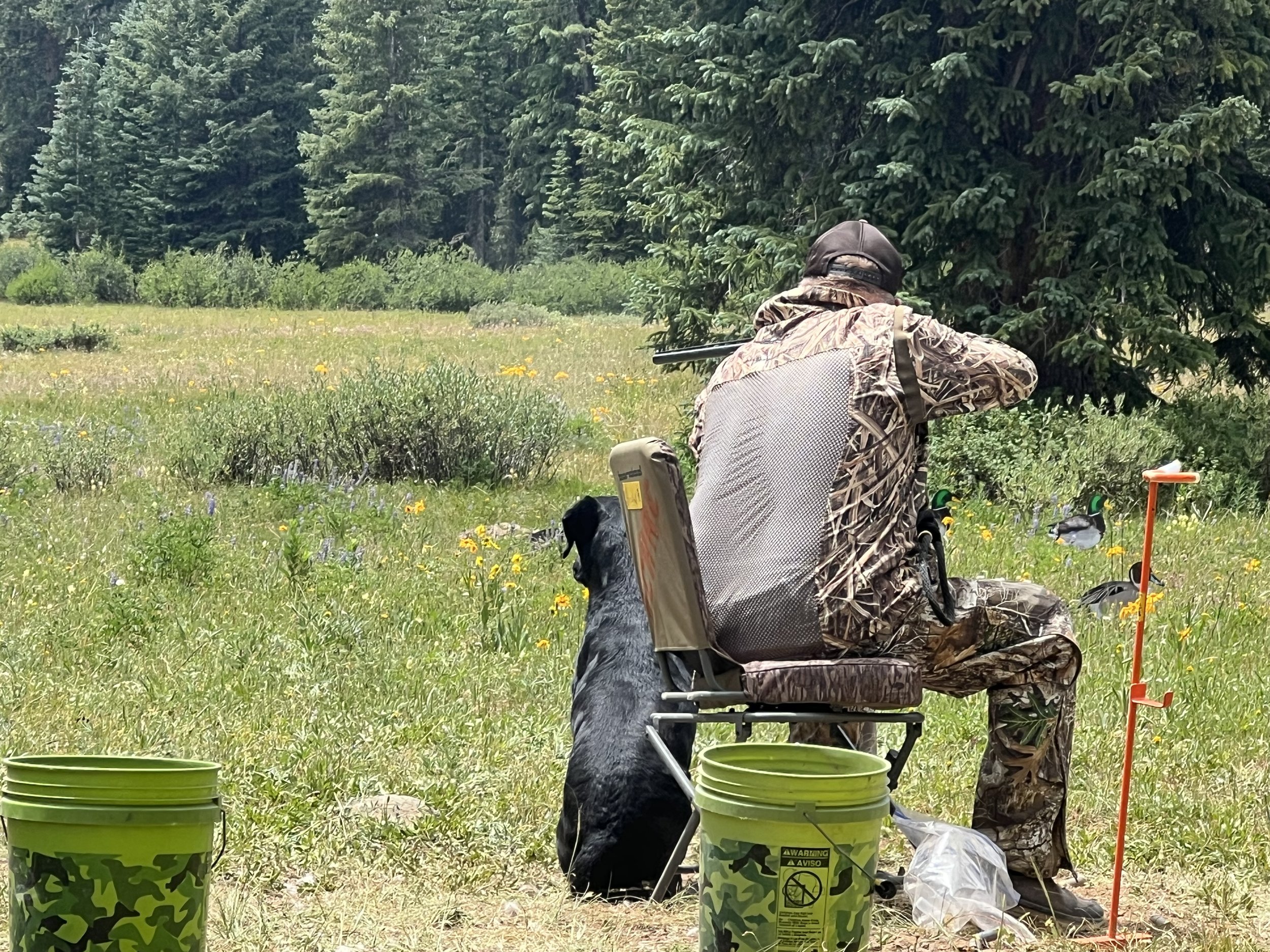 Western Colorado HRC Hunt Test July 19, 2025 - Brent Cozzolino and Cash