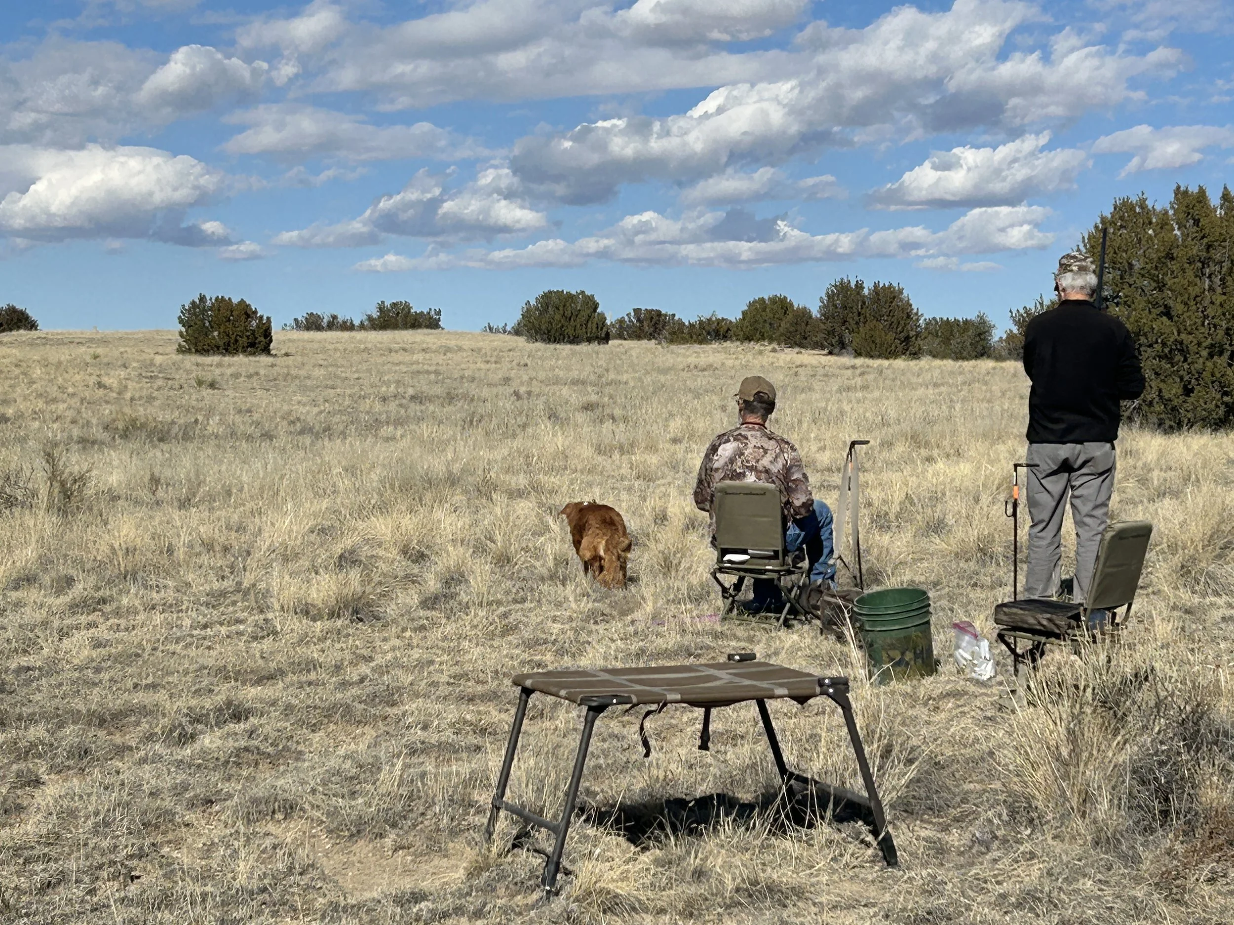 February 14, 2026 Training Day - Started Obedience - Tim Boies & Ben