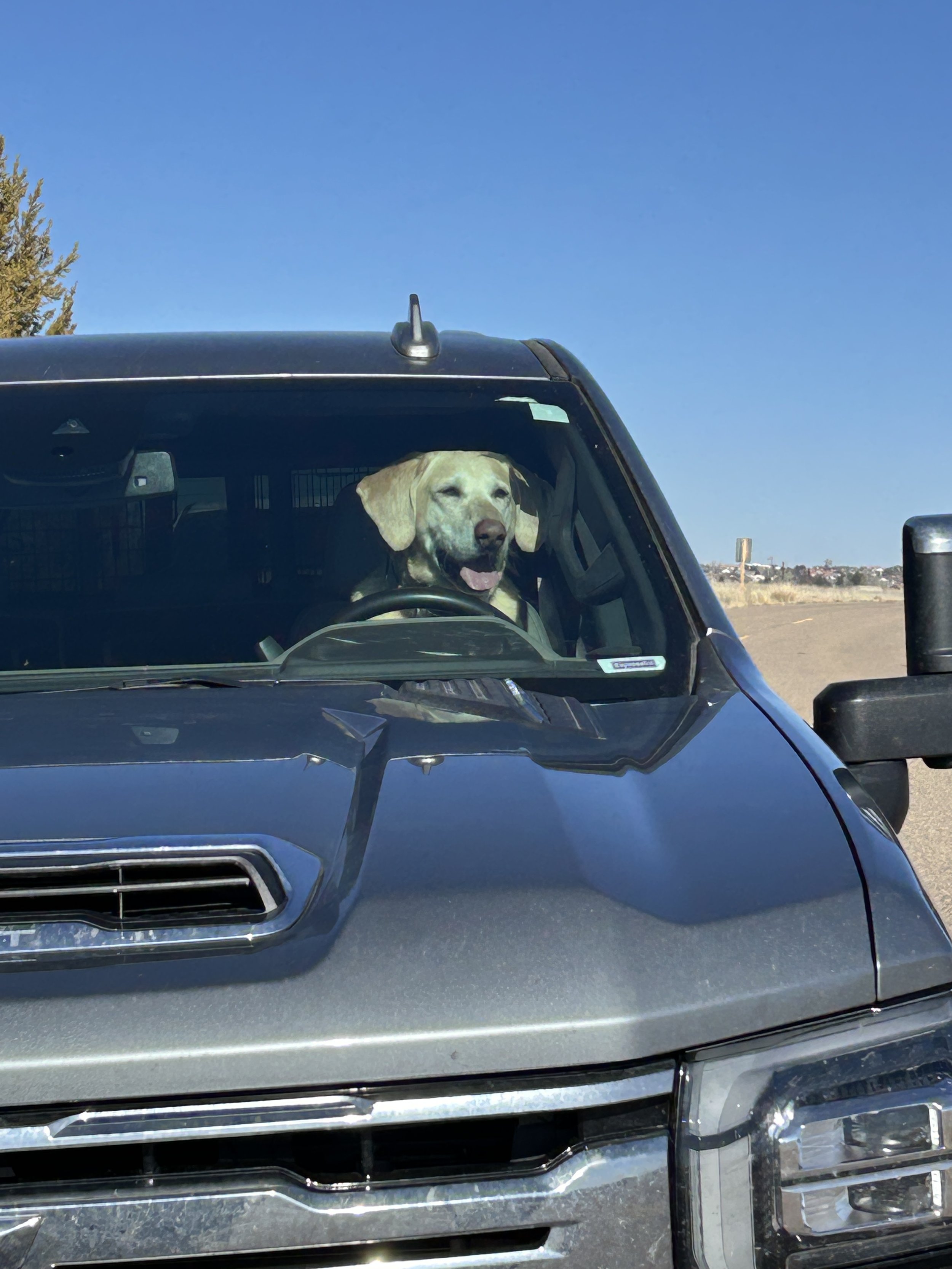 January 31, 2026 Training Day - Don Ley & Captain