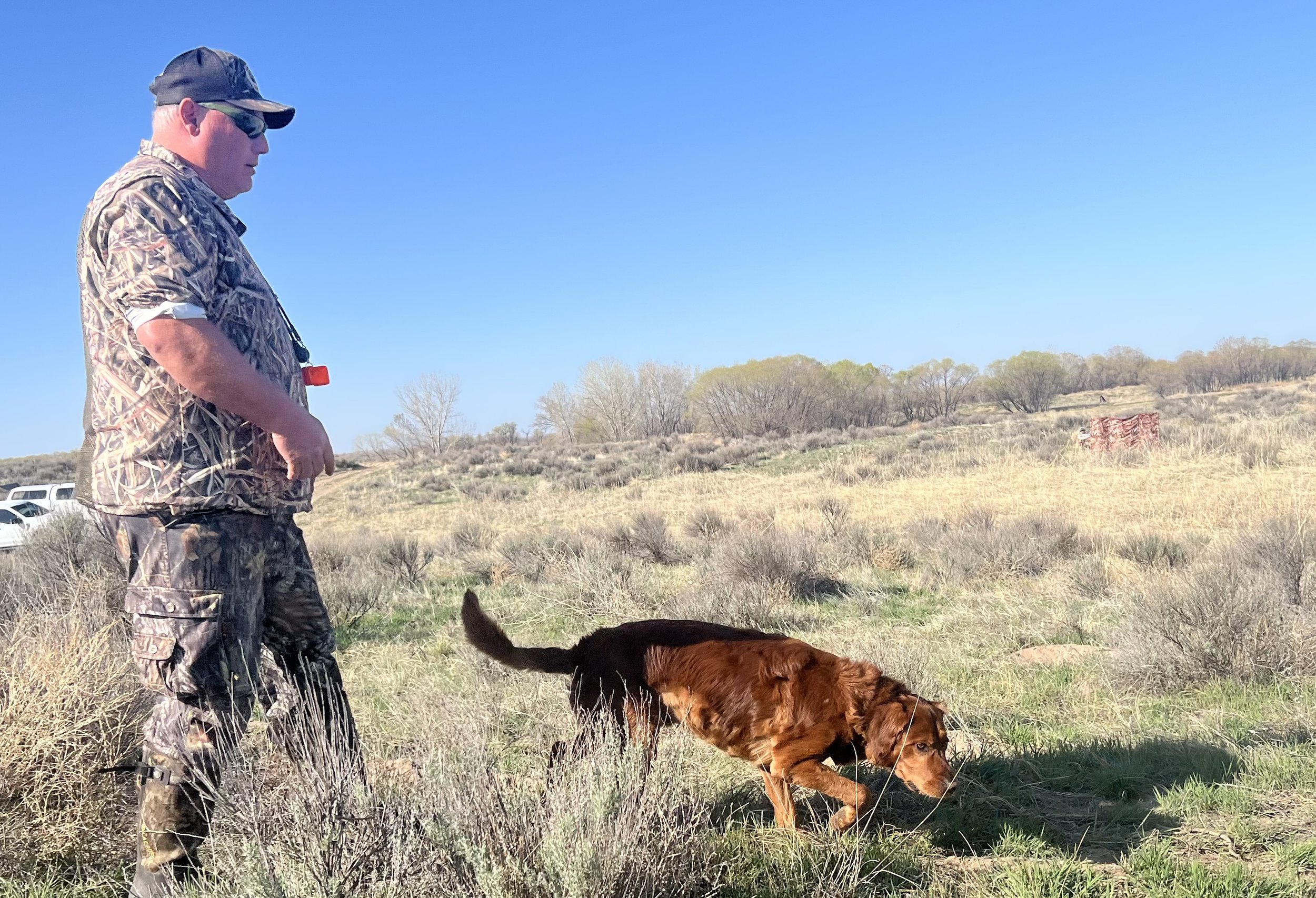 Platte Valley Hunt Test April 26th & 27th - Brett Predmore & Colt