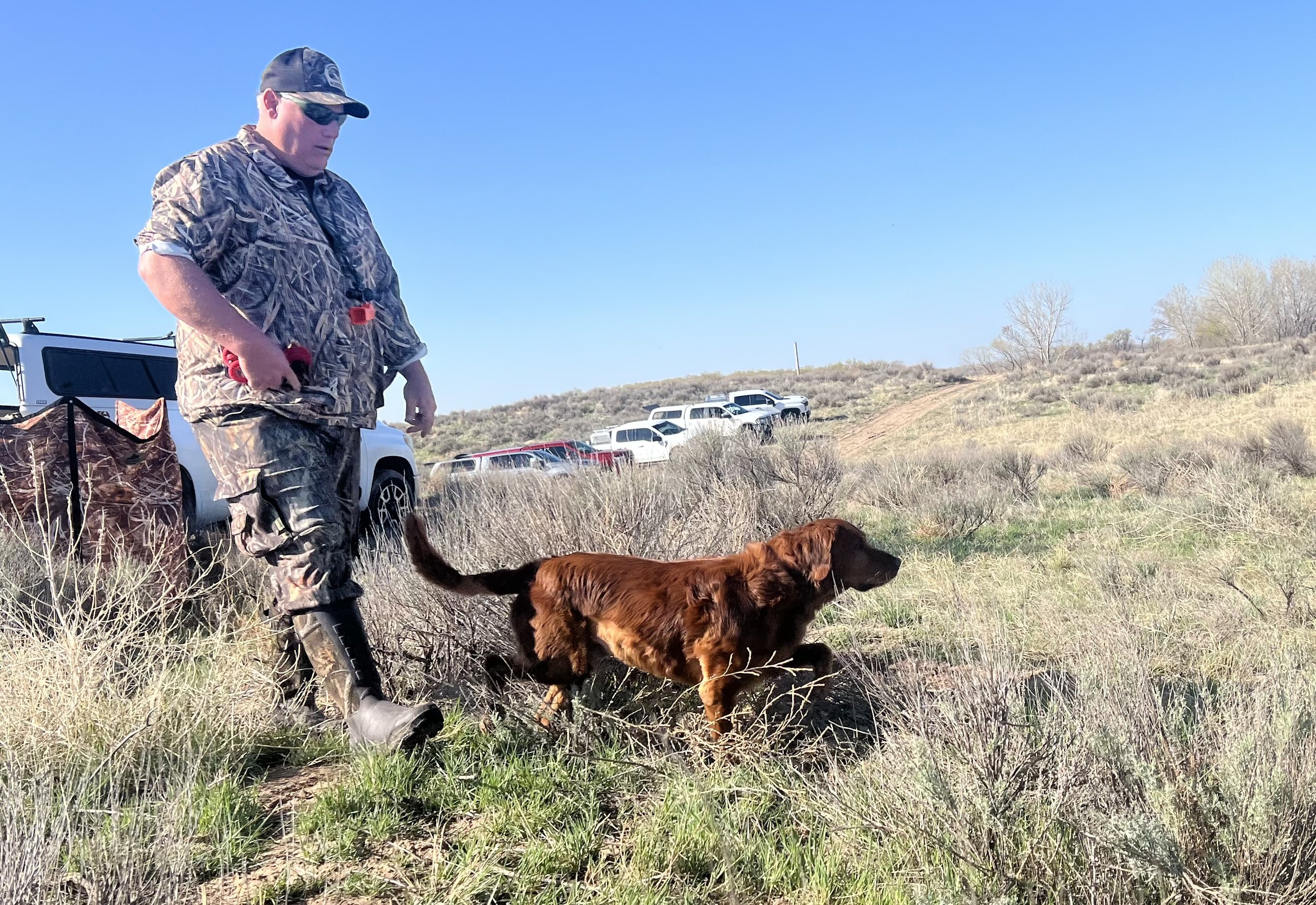 Platte Valley Hunt Test April 26th & 27th - Brett Predmore & Colt