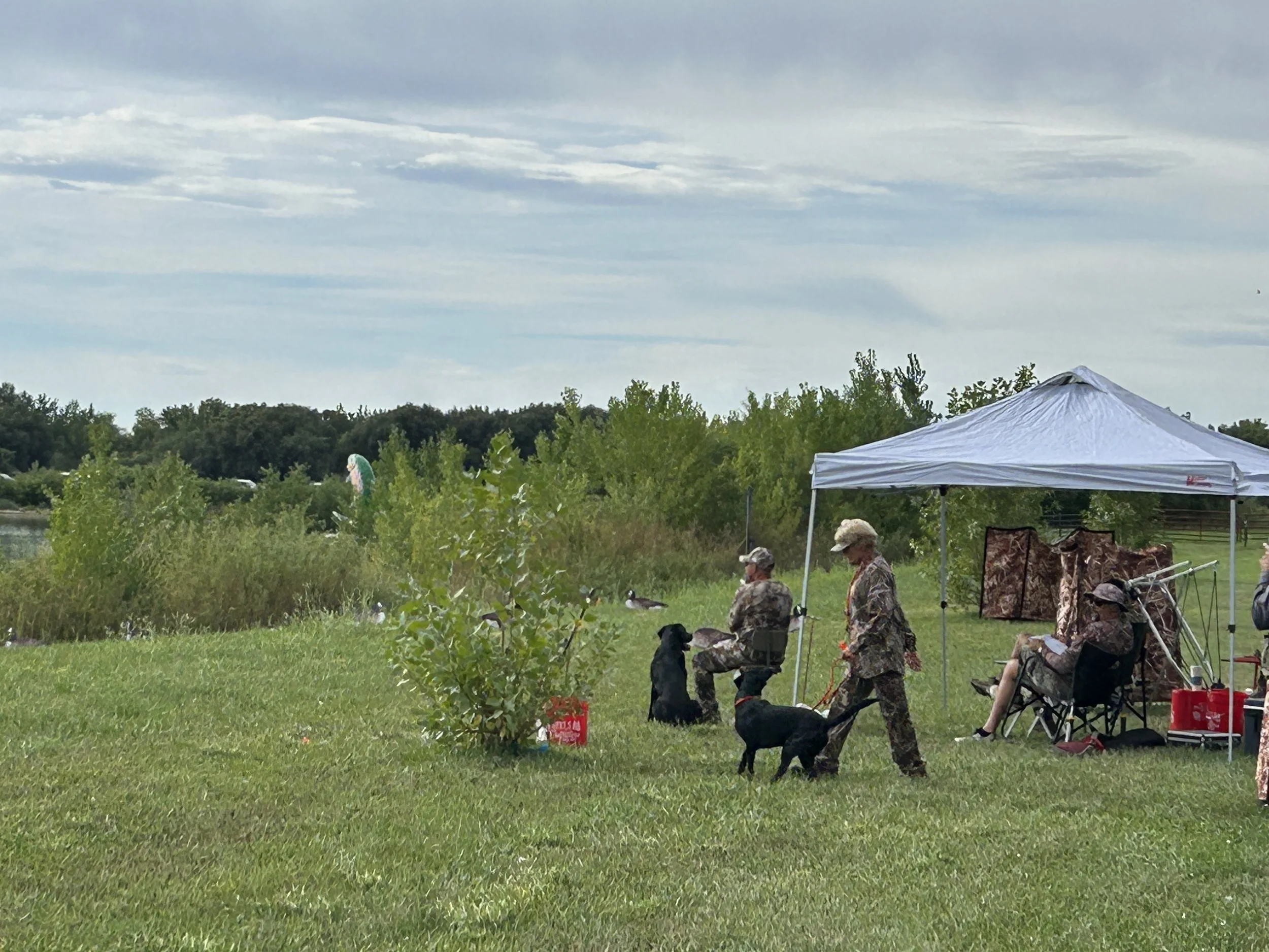 PVHRC 40th Anniversary Hunt Test August 29th - 30th