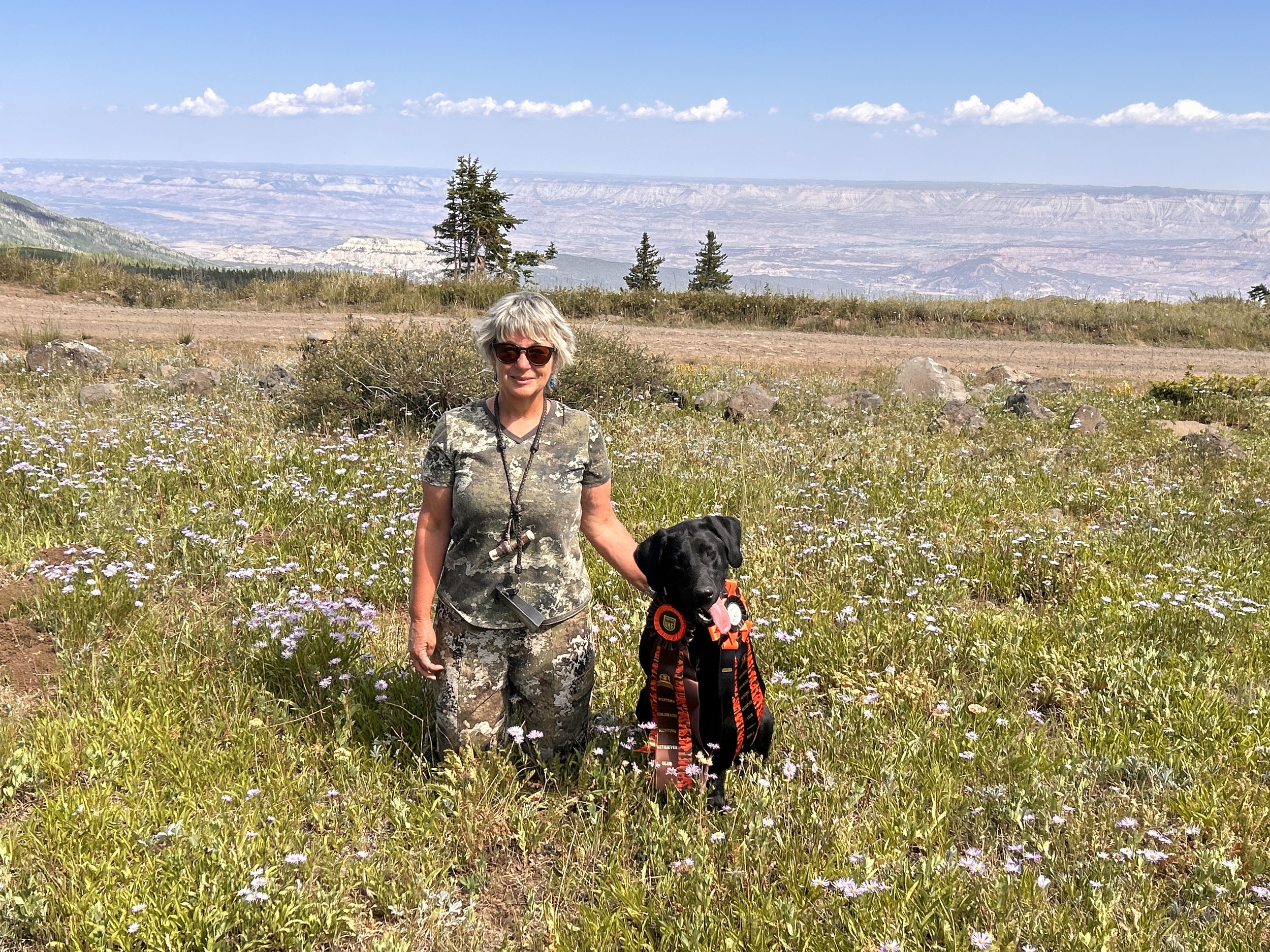 Western Colorado HRC Hunt Test July 2025 - Lauri Hansen - Lauri and Onyx earned their Finished title - Congratulations!