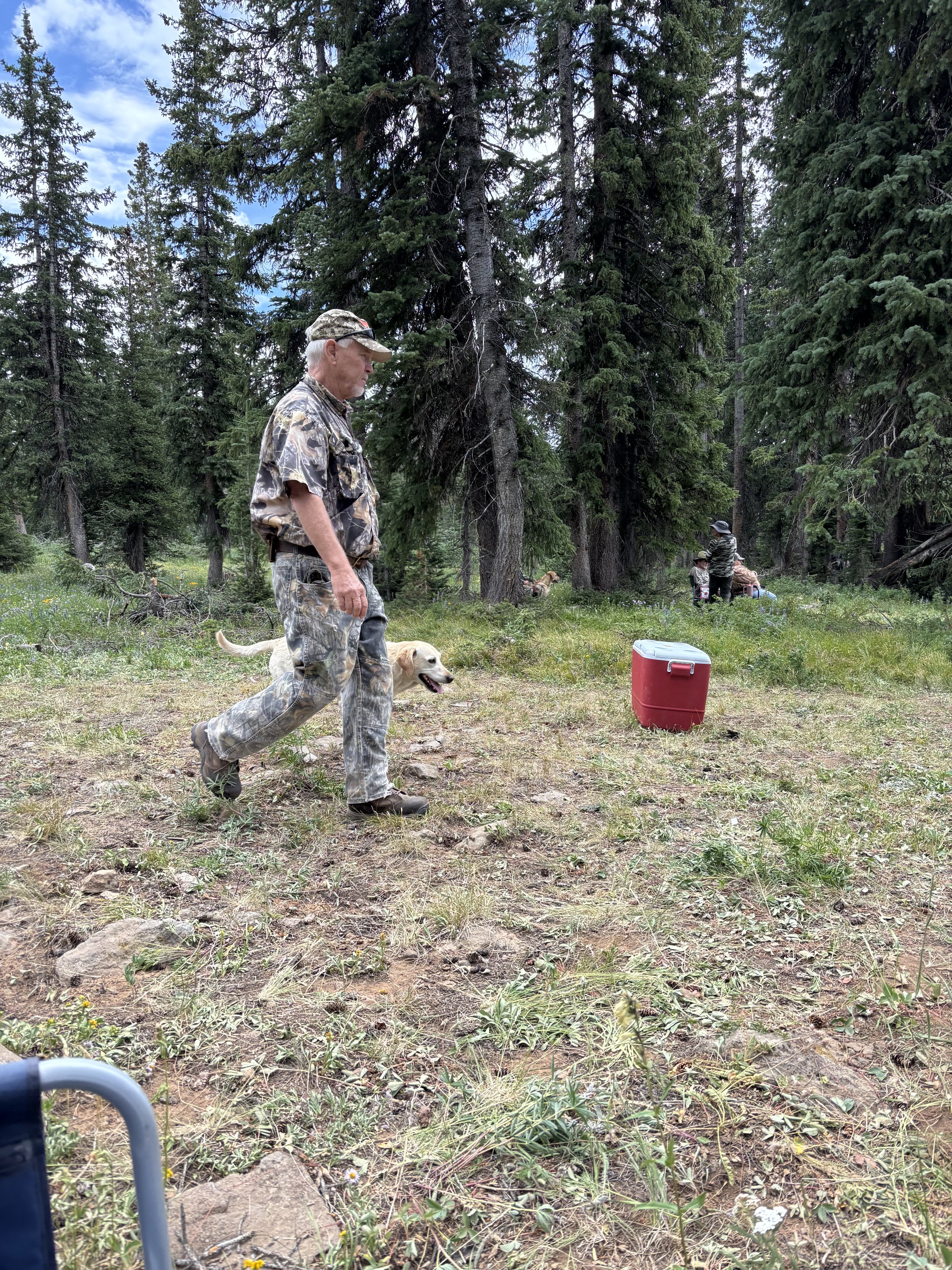 Western Colorado HRC Hunt Test July 19, 2025 - Erik Brekke & Breeze