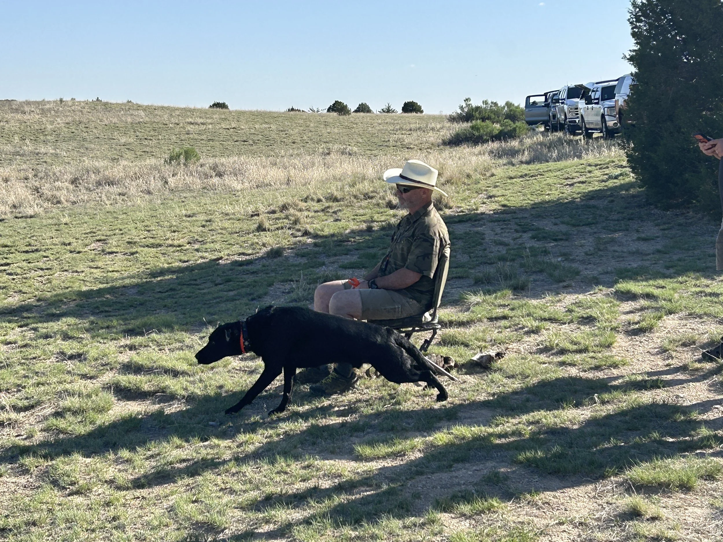 May 16, 2026 Training Day & Picnic