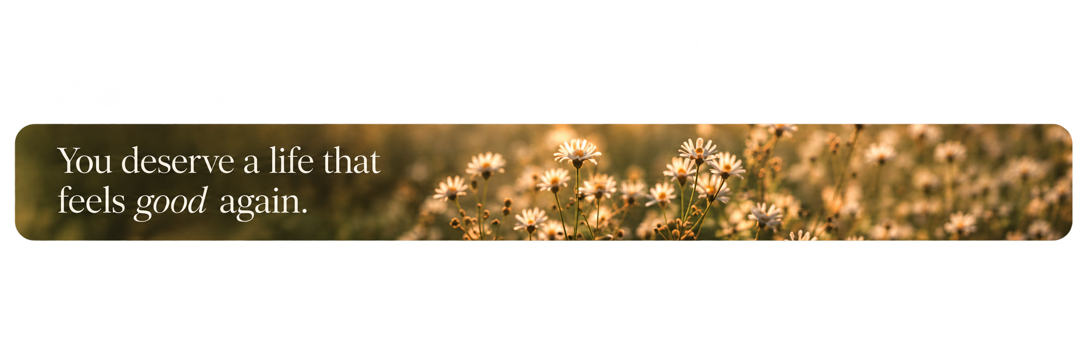 Banner with a field of white daisies and the text 'You deserve a life that feels good again' overlaid.