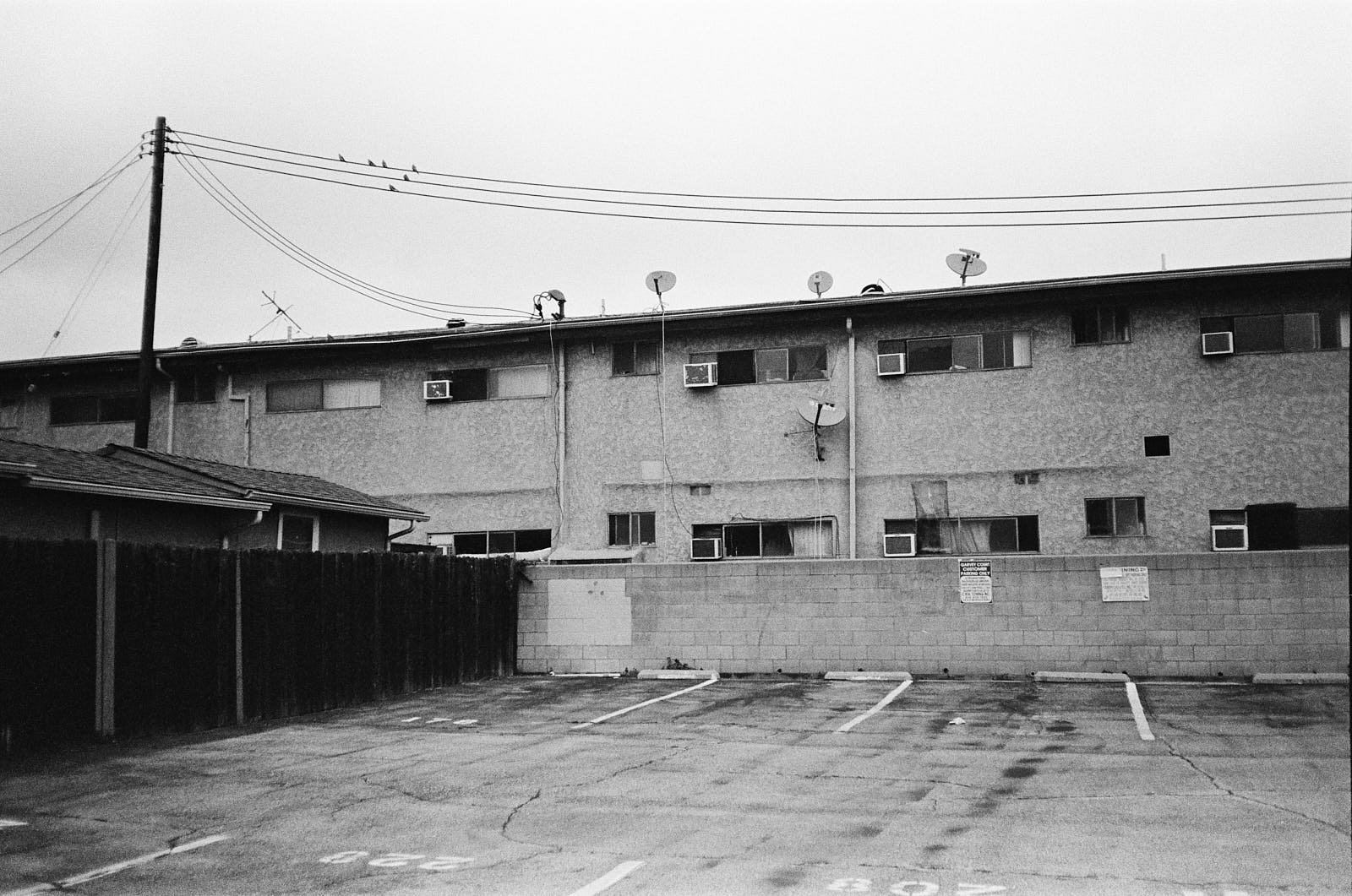An empty parking lot with several parking spaces, a brick wall with signs, at least two-story apartment building with multiple windows and air conditioning units, and utility poles with wires and birds perched on them in the background. The image is 