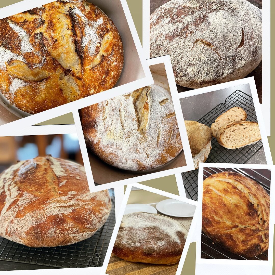 It was so heartwarming to see everyone&rsquo;s ~SOURDOUGH~ from our Wholefood Workshop last weekend! 

All these loaves started out from the same starter. Isn&rsquo;t there something just a little bit romantic about that?! 

Thank you so much to Jame