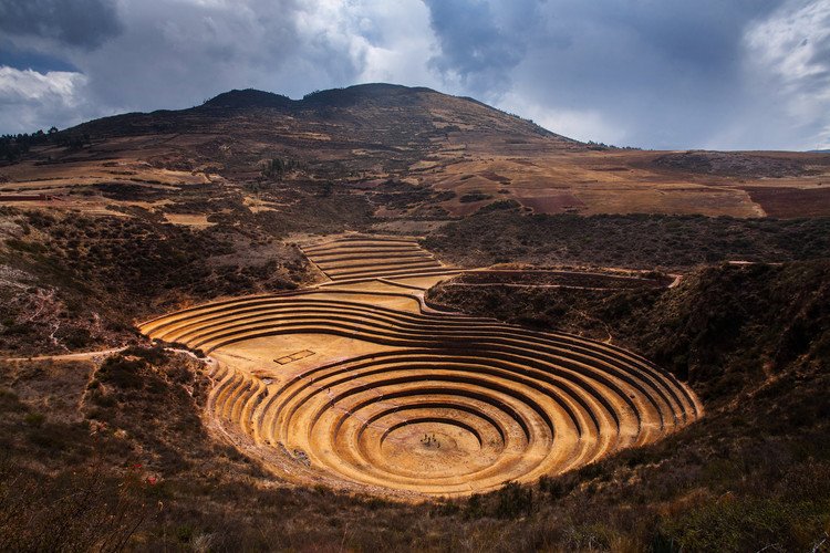 moray.jpg