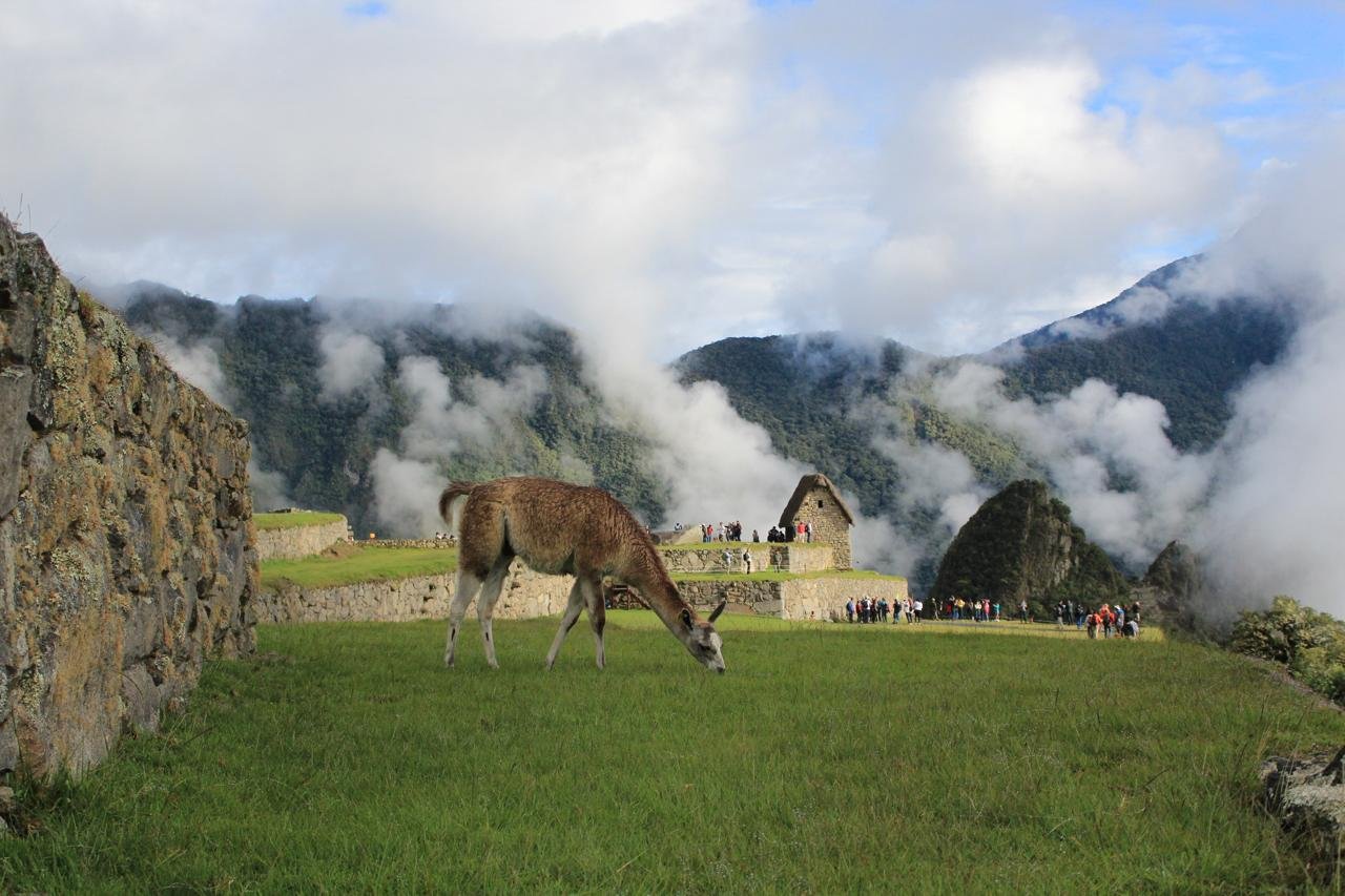 mapi3.jpg
