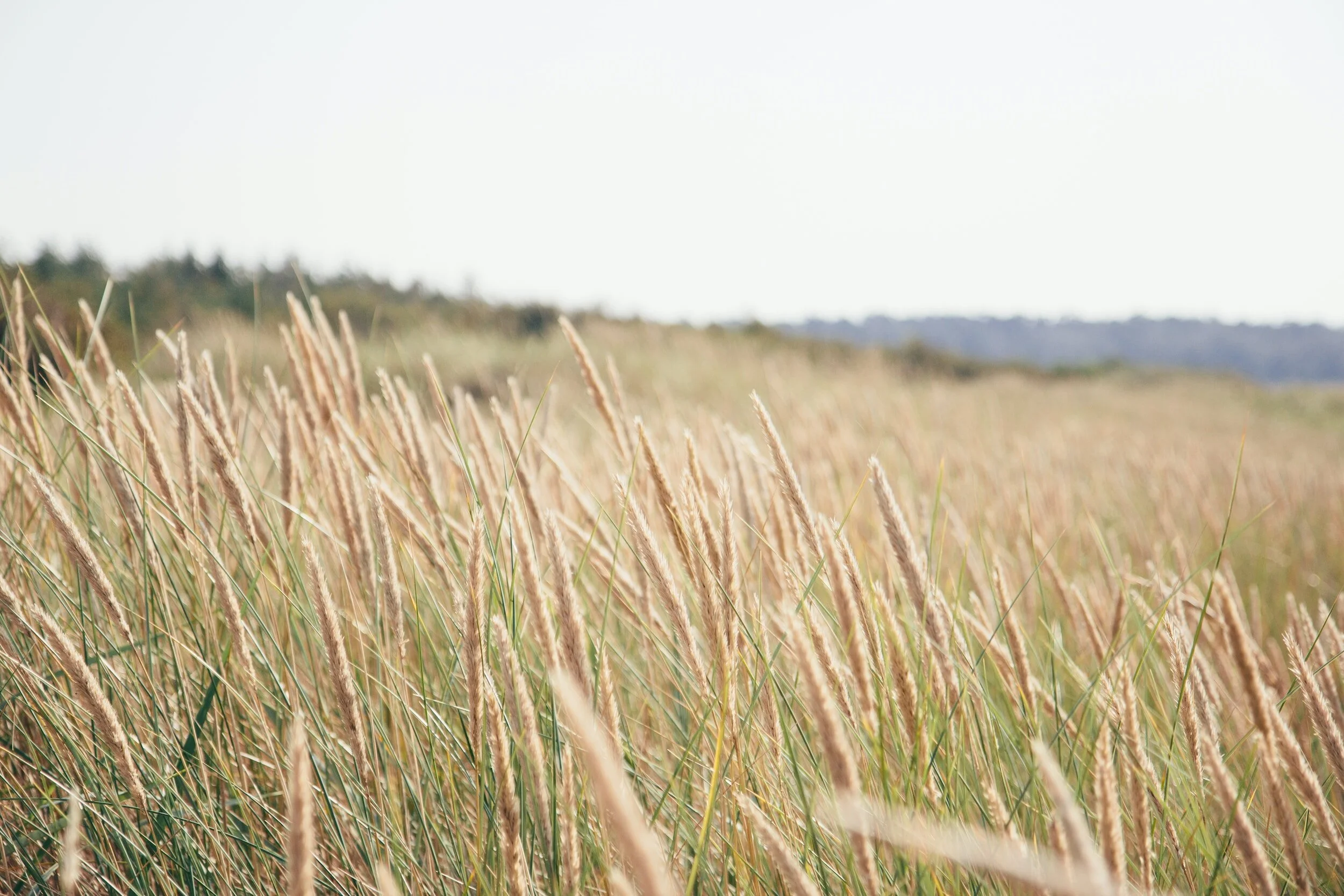 North Star Engineering Long Island New York