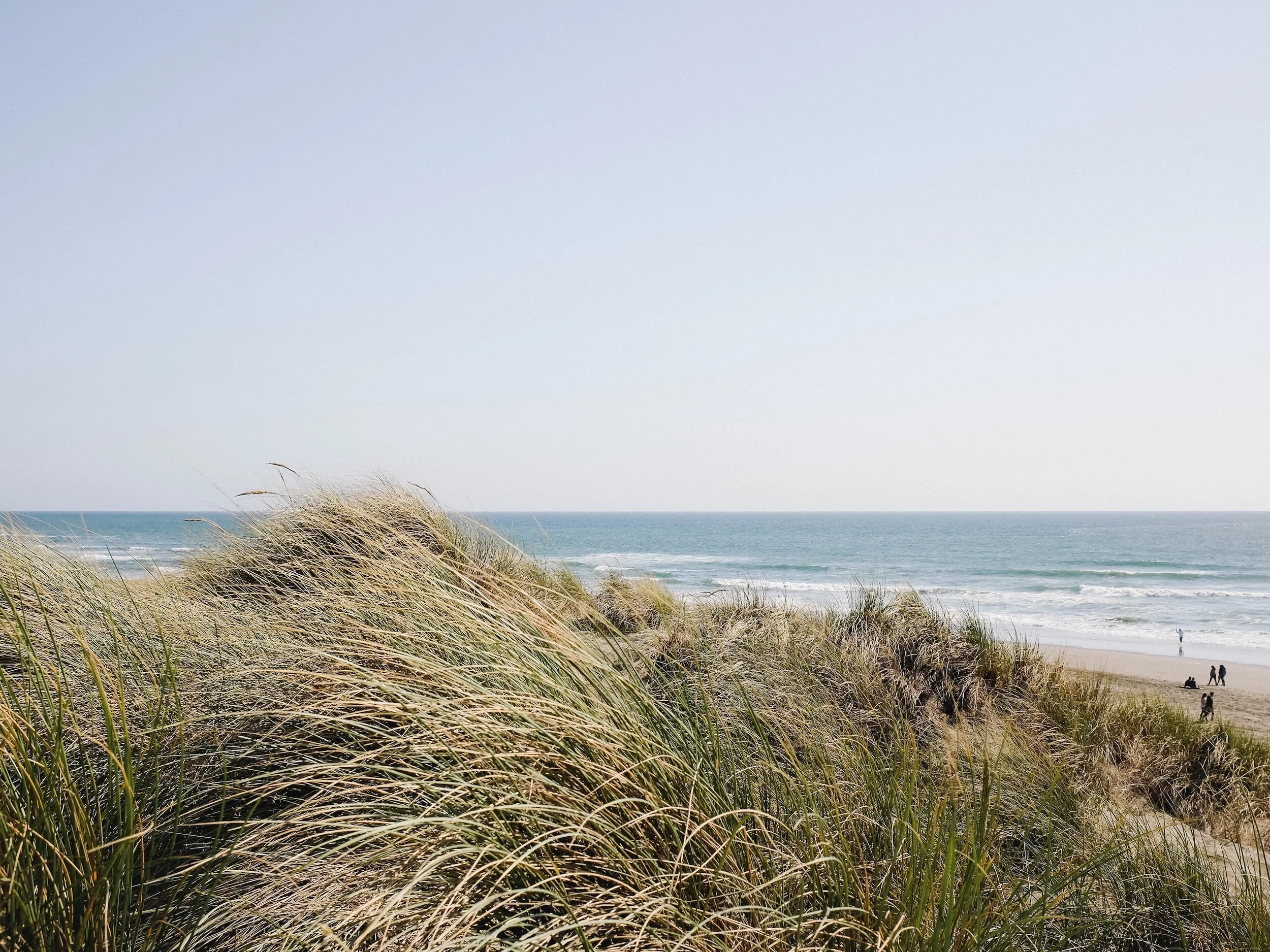 North Star Engineering Long Island New York