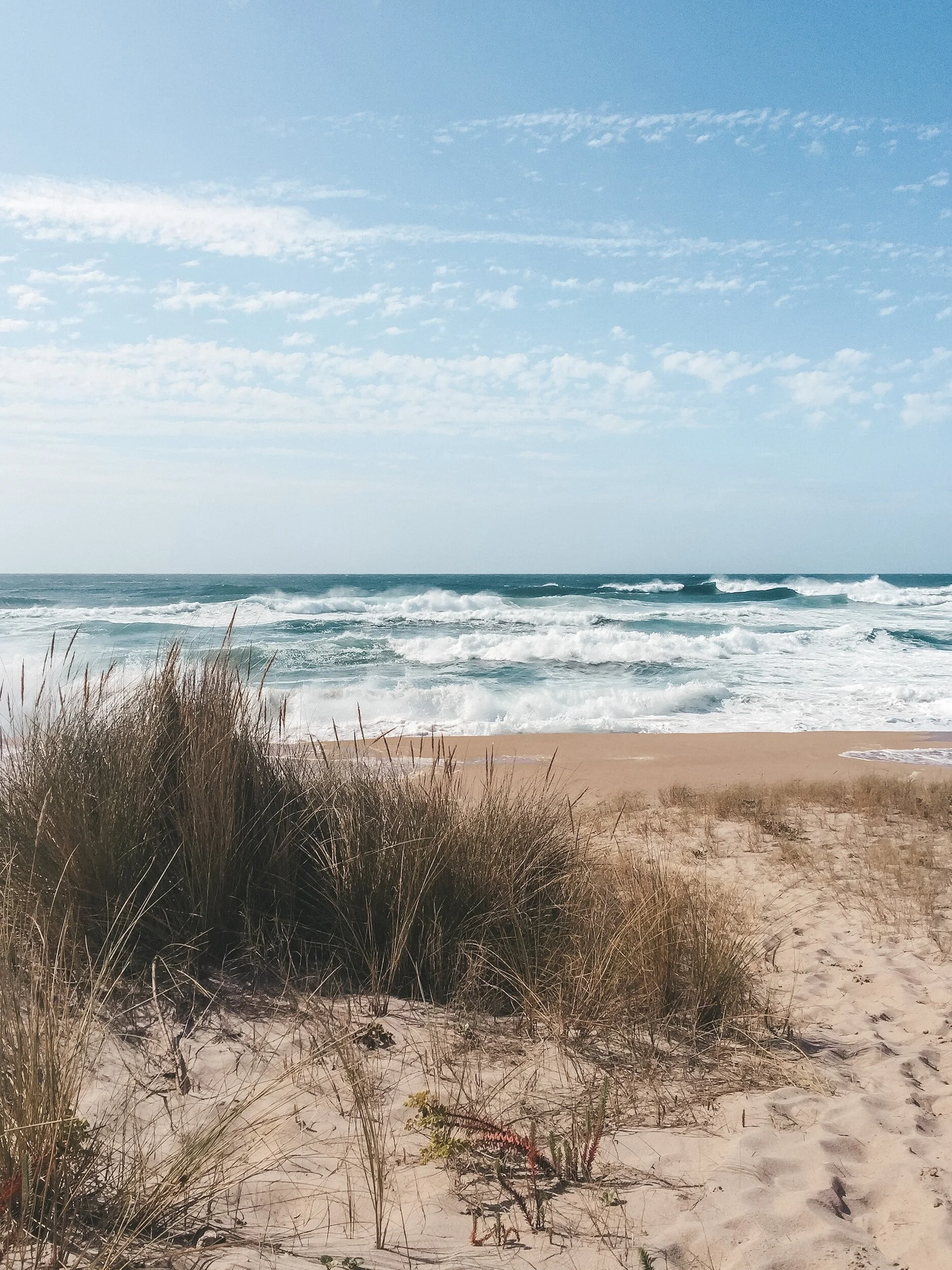 North Star Engineering Long Island New York