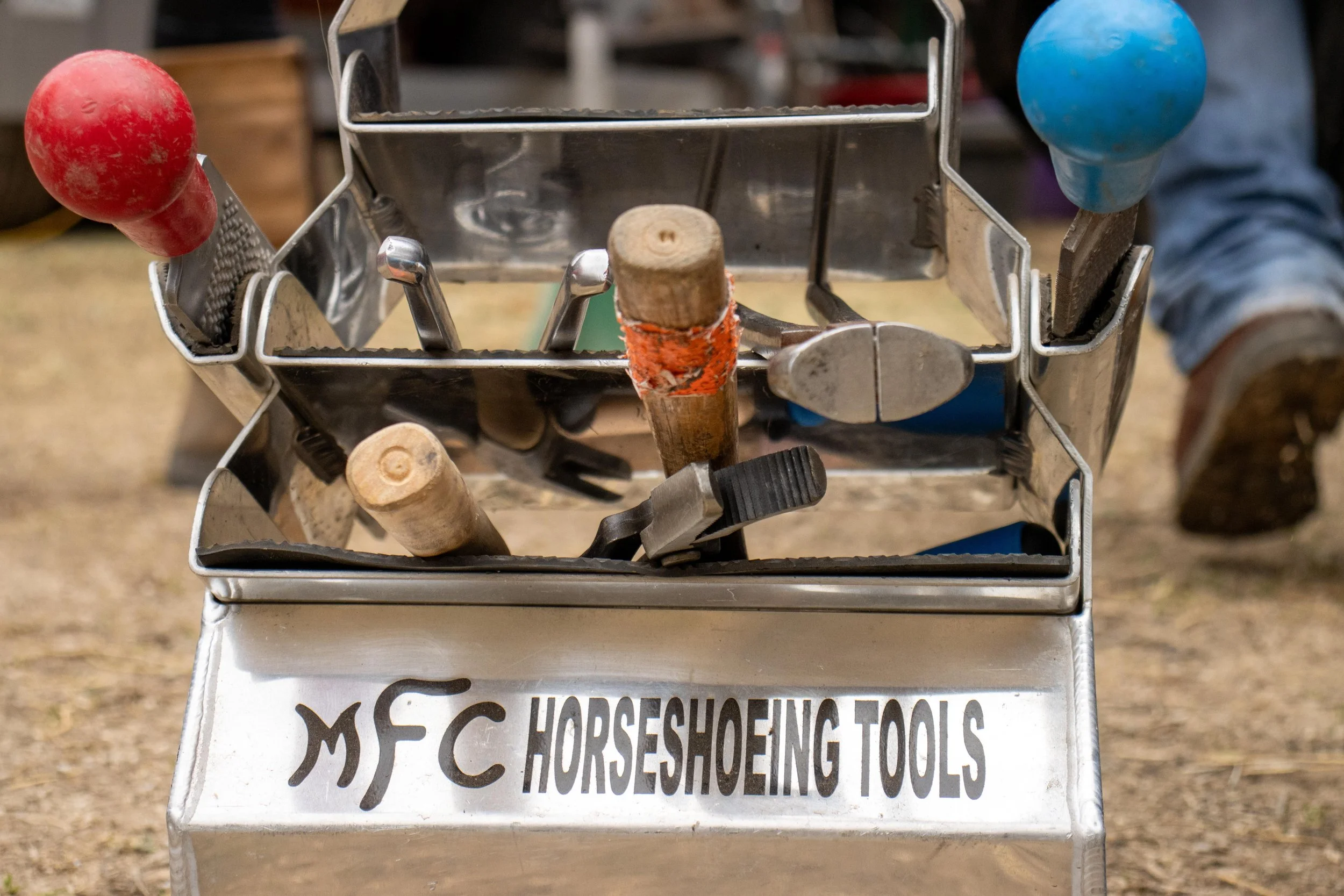 HoofSolutions-5.jpg