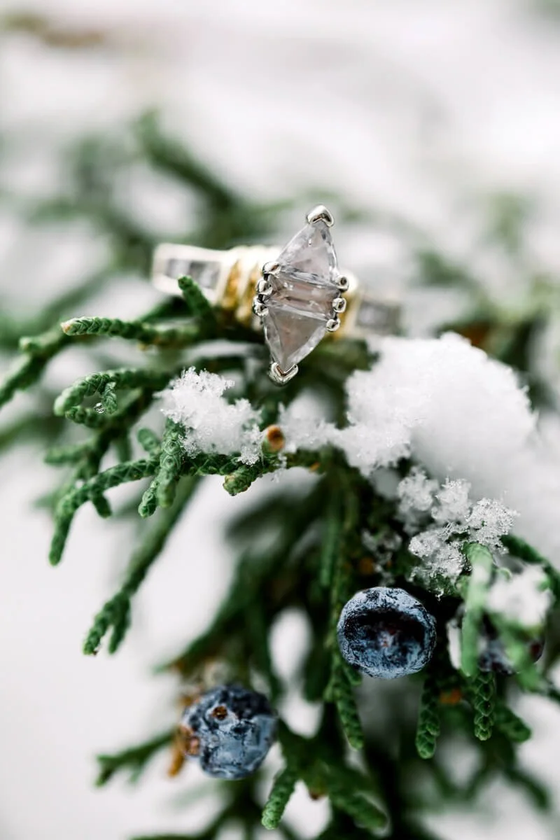 Snowy Winston Salem Wedding