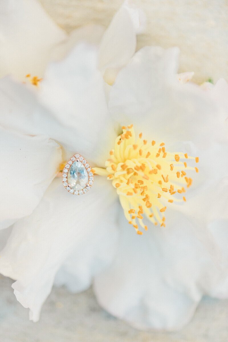 Downtown Greenville Engagement