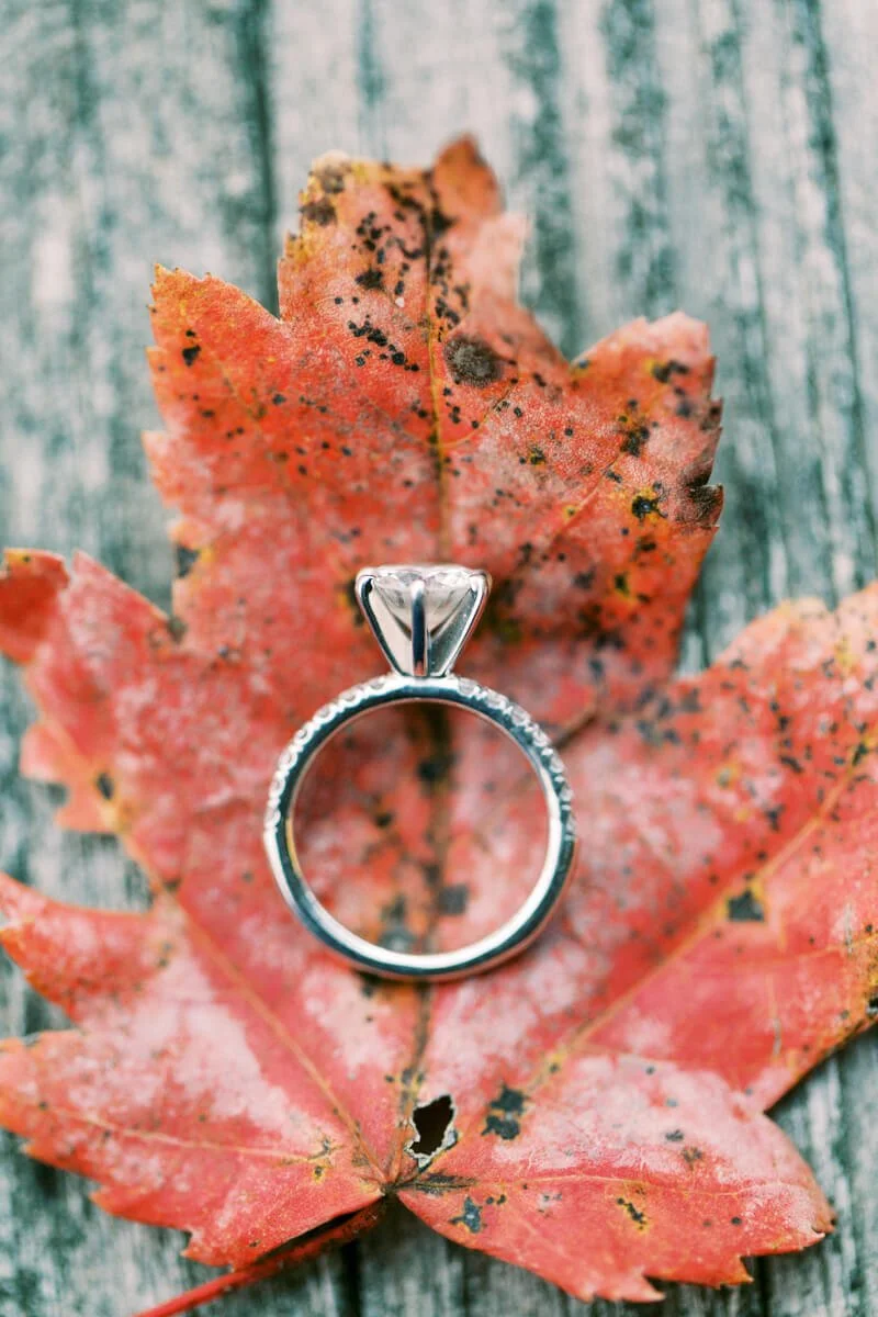 Winston-Salem Engagement