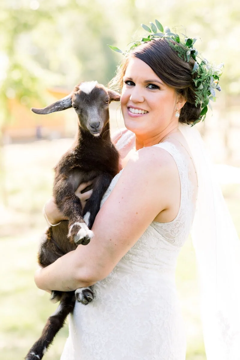 Goat Wedding in Chapel Hill NC